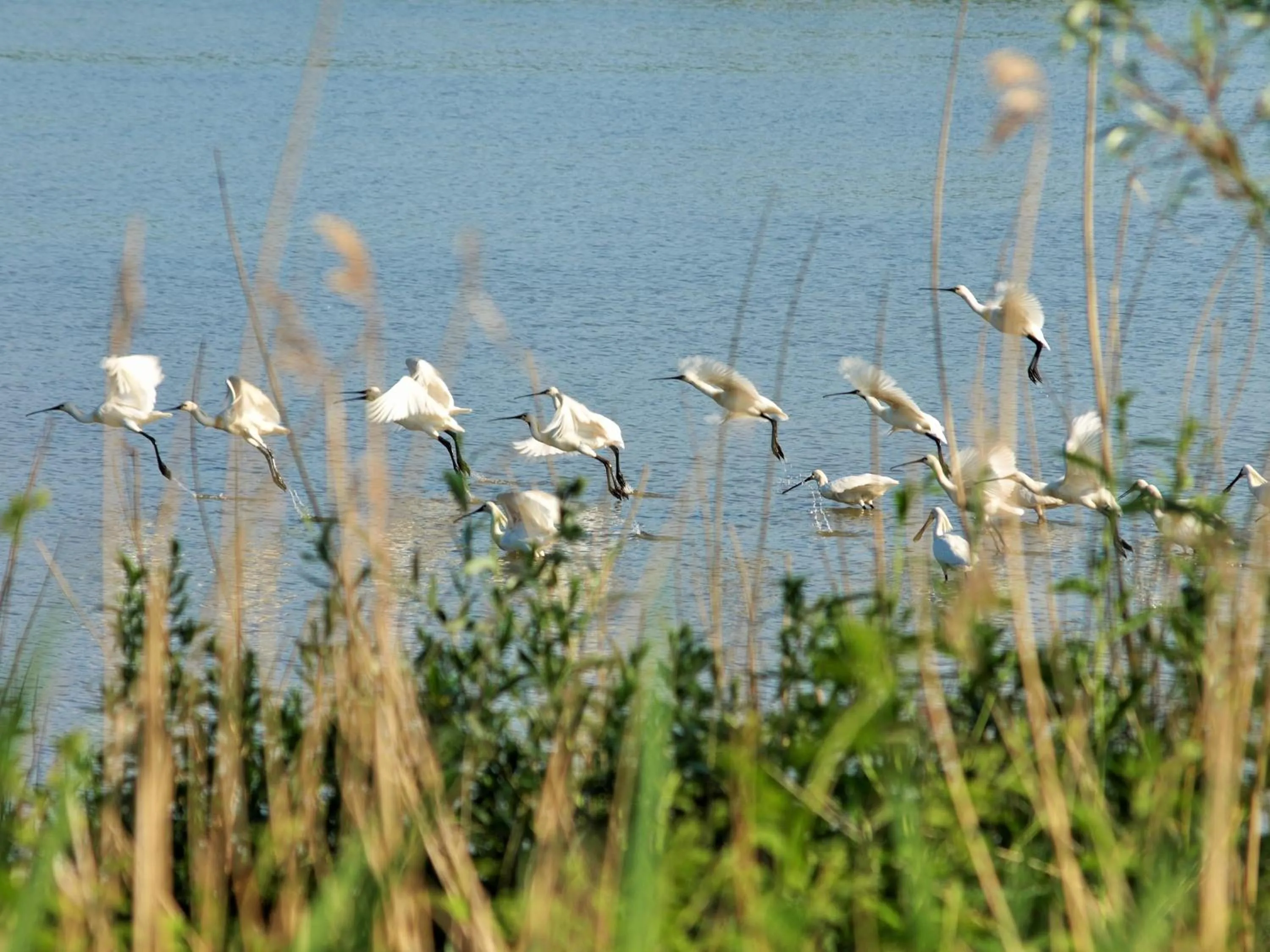 Natural landscape in Bed & Breakfast De Schuur Inn