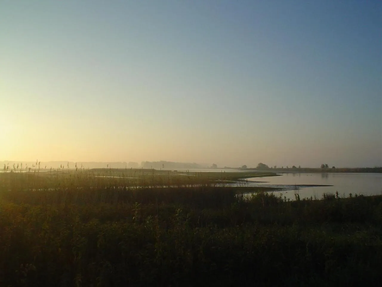 Natural landscape in Bed & Breakfast De Schuur Inn