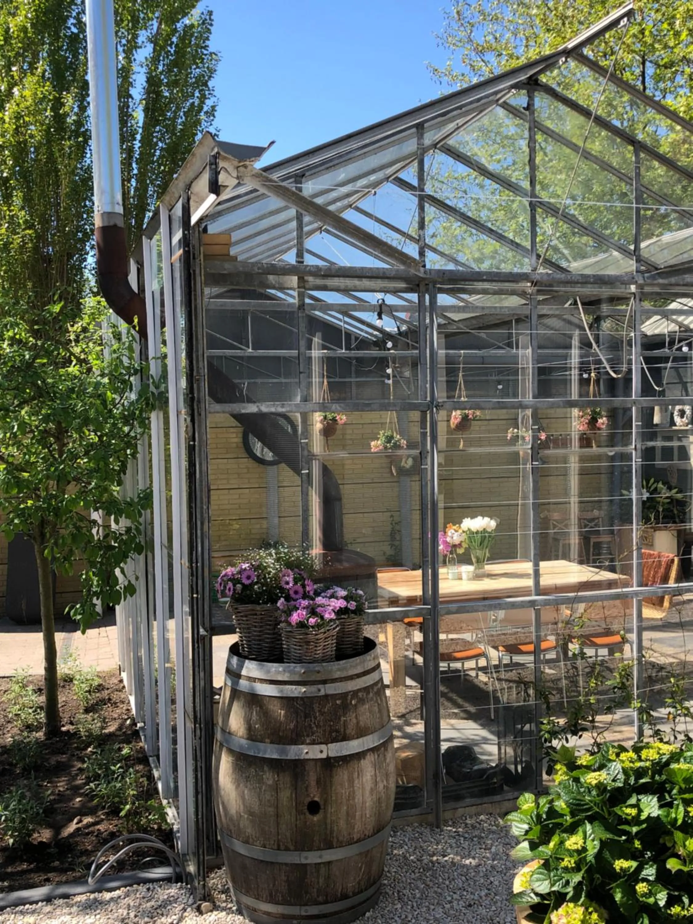 Garden in B&B Bij tante Teun