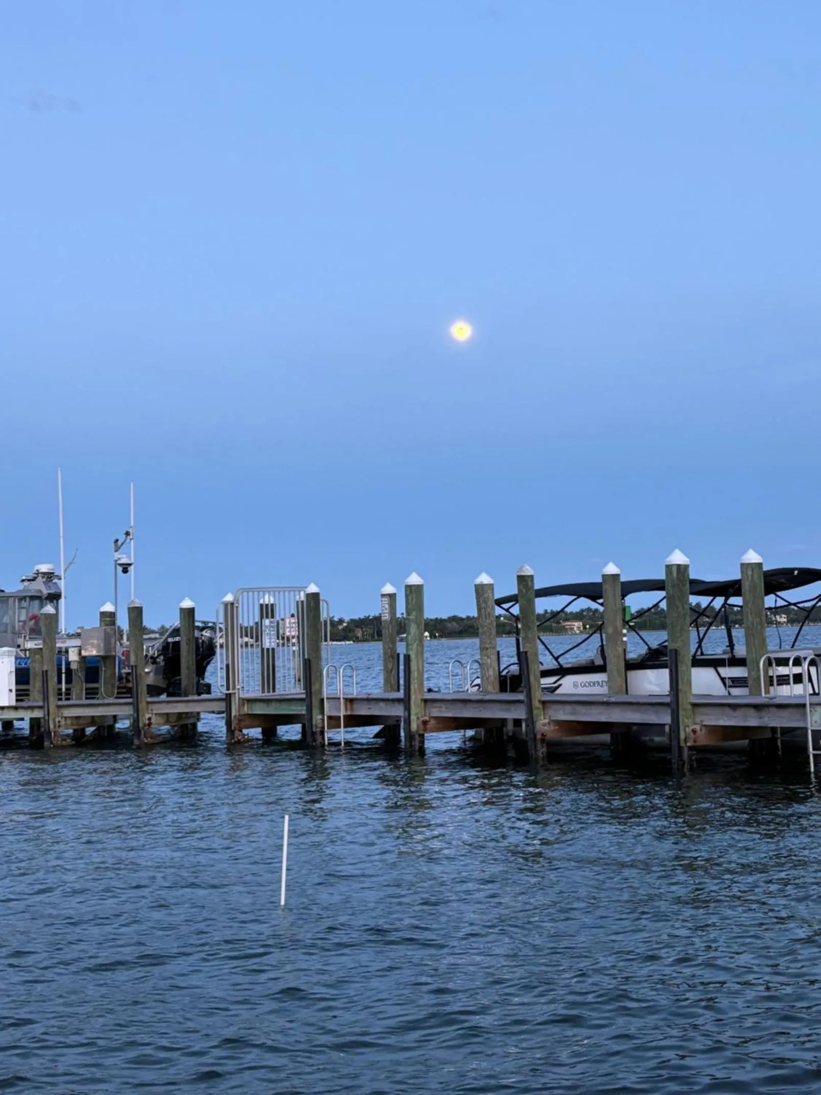 Beach in Palm Beach Mermaid