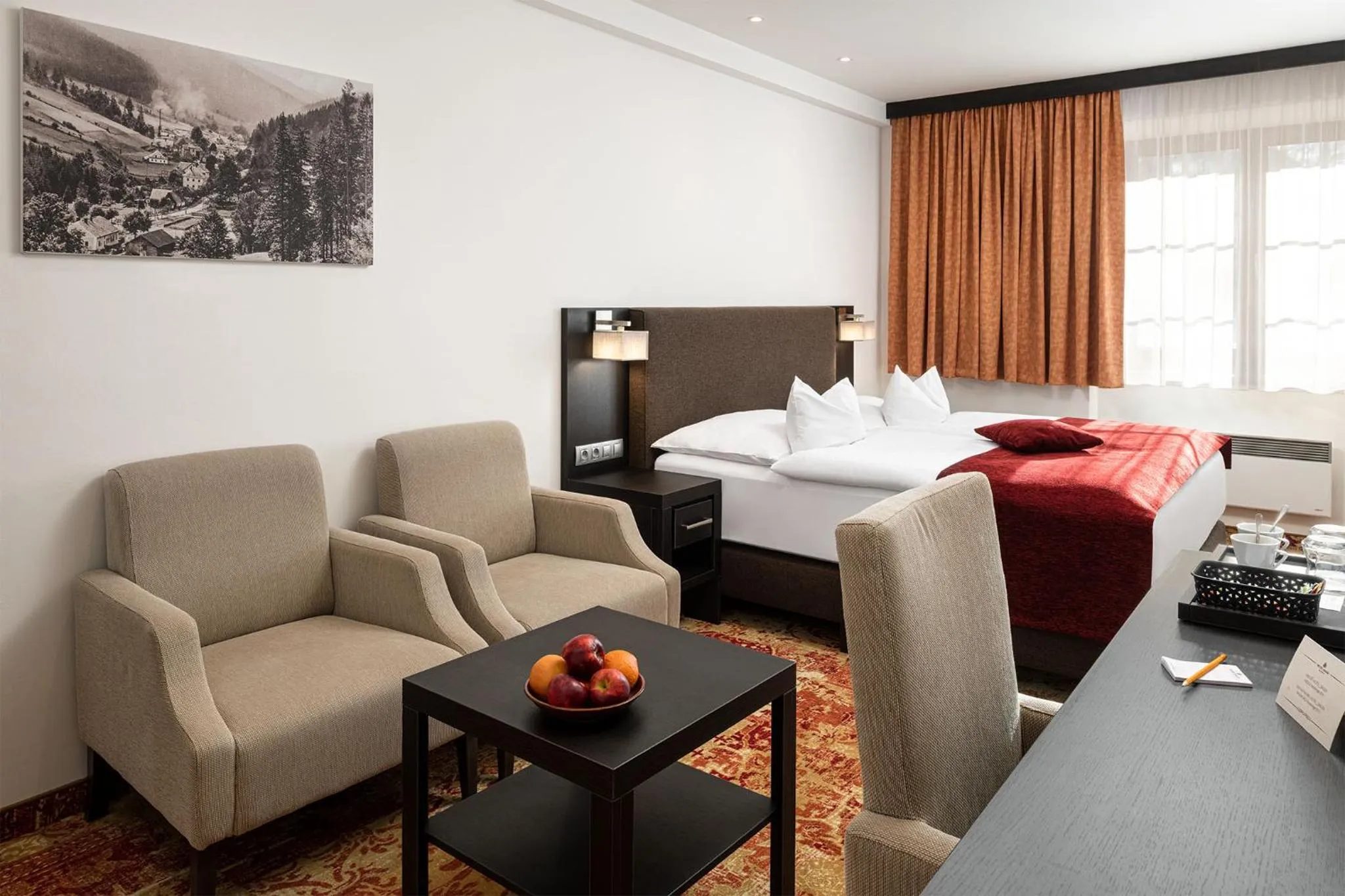 Photo of the whole room in Hotel Singer