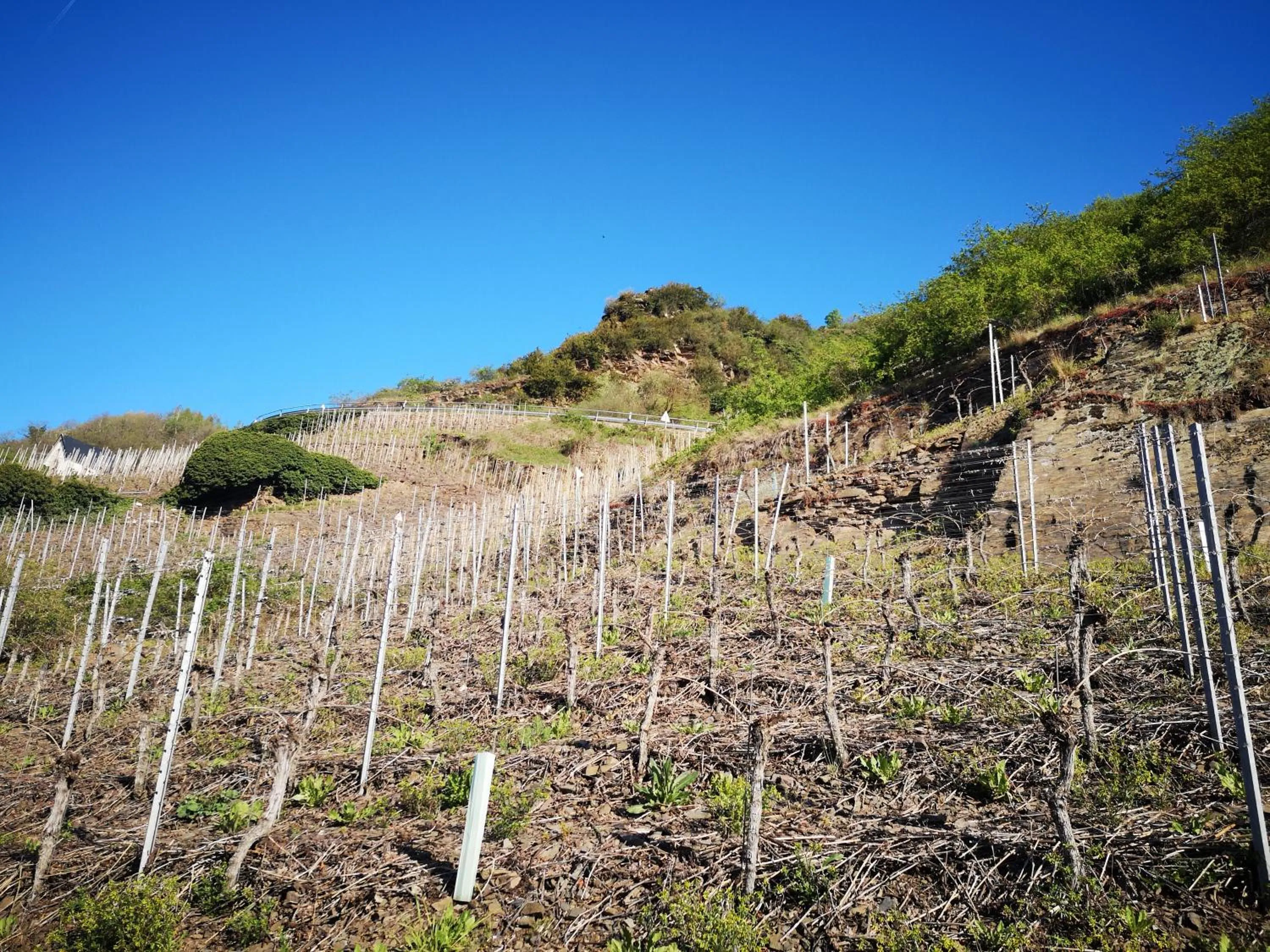 Natural landscape in Hotel Hegenbarths