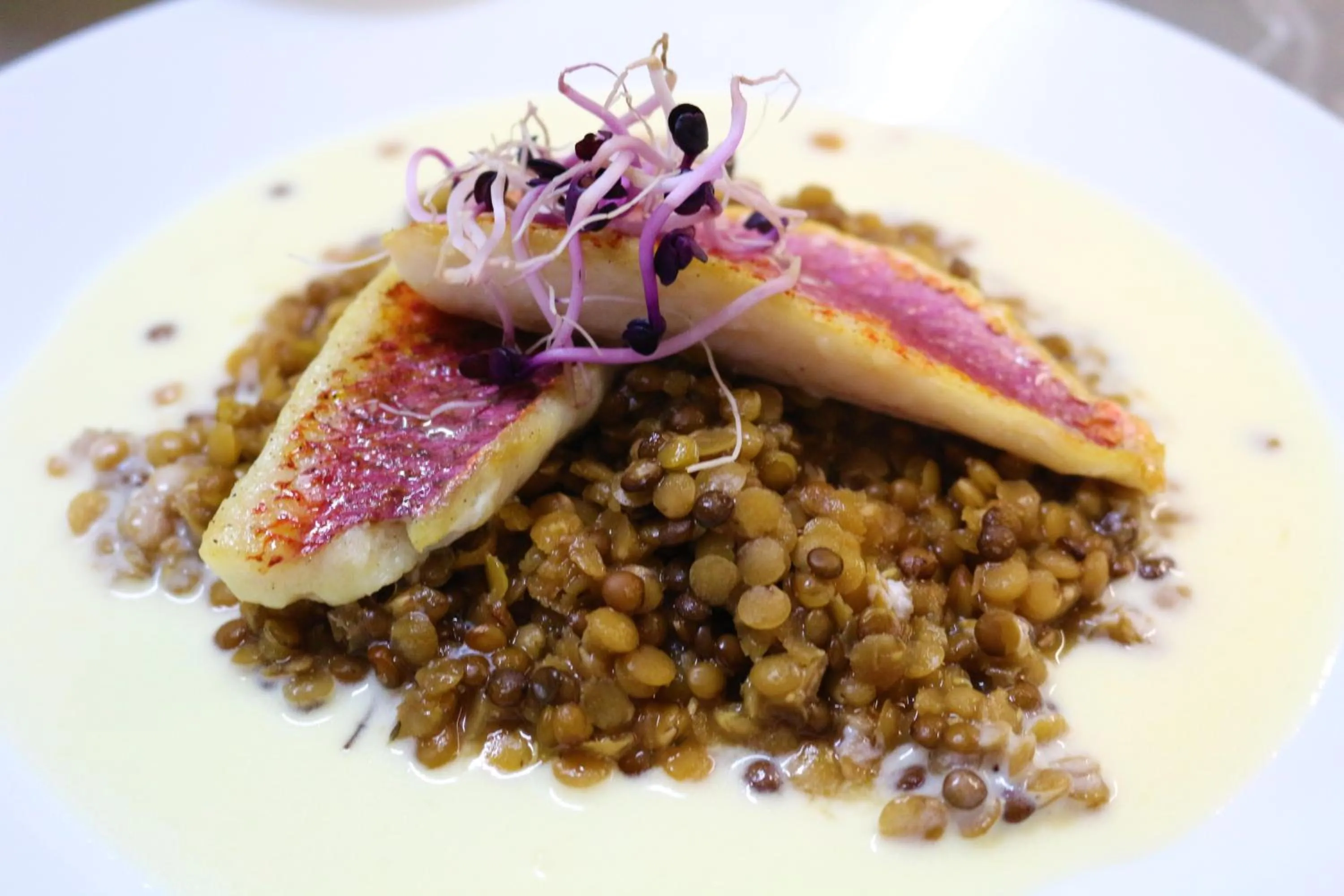 Food close-up in Hotel Hegenbarths