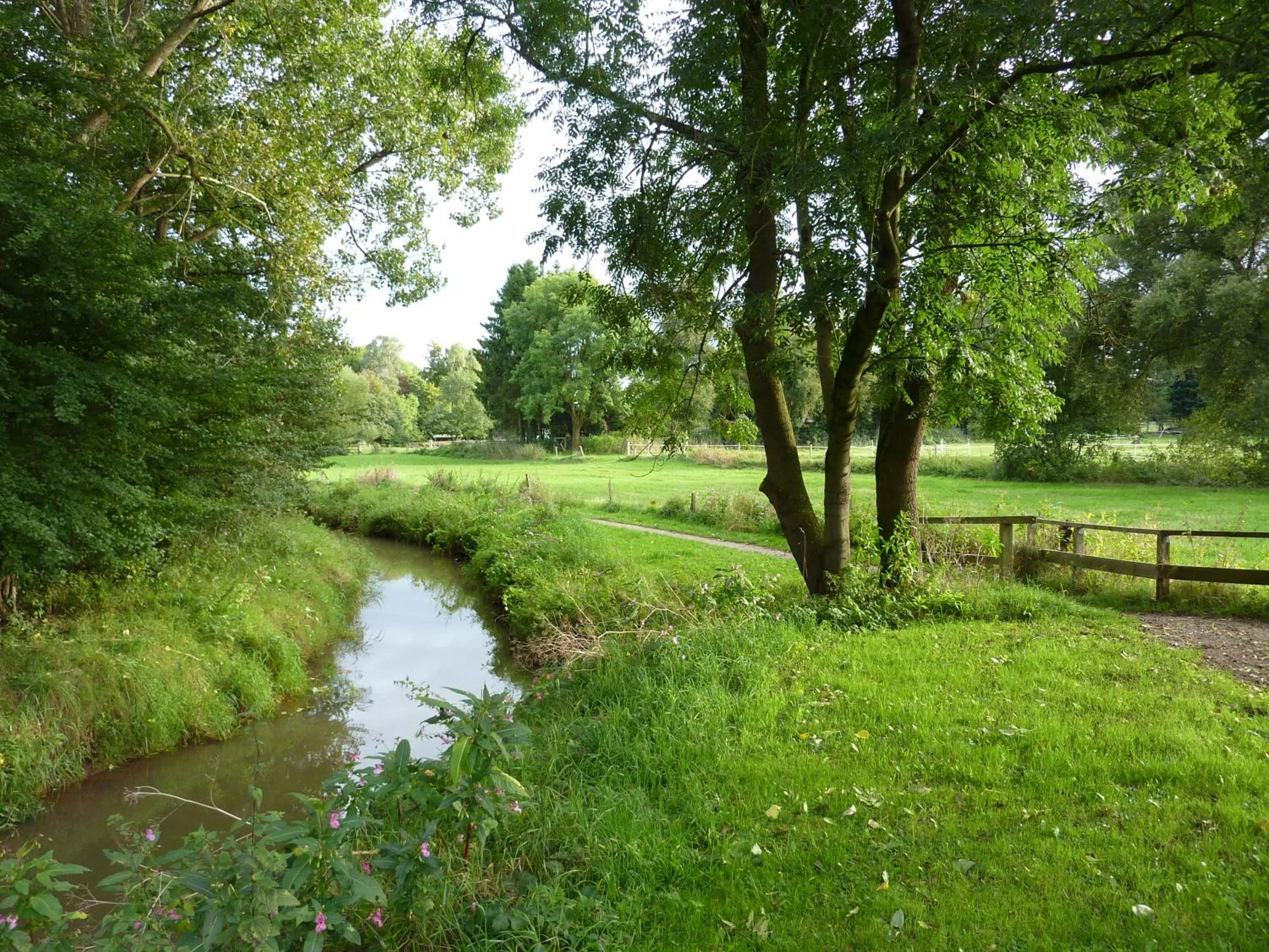 Fishing in Akzent Hotel Zur Wasserburg - Hotel Garni bed & breakfast