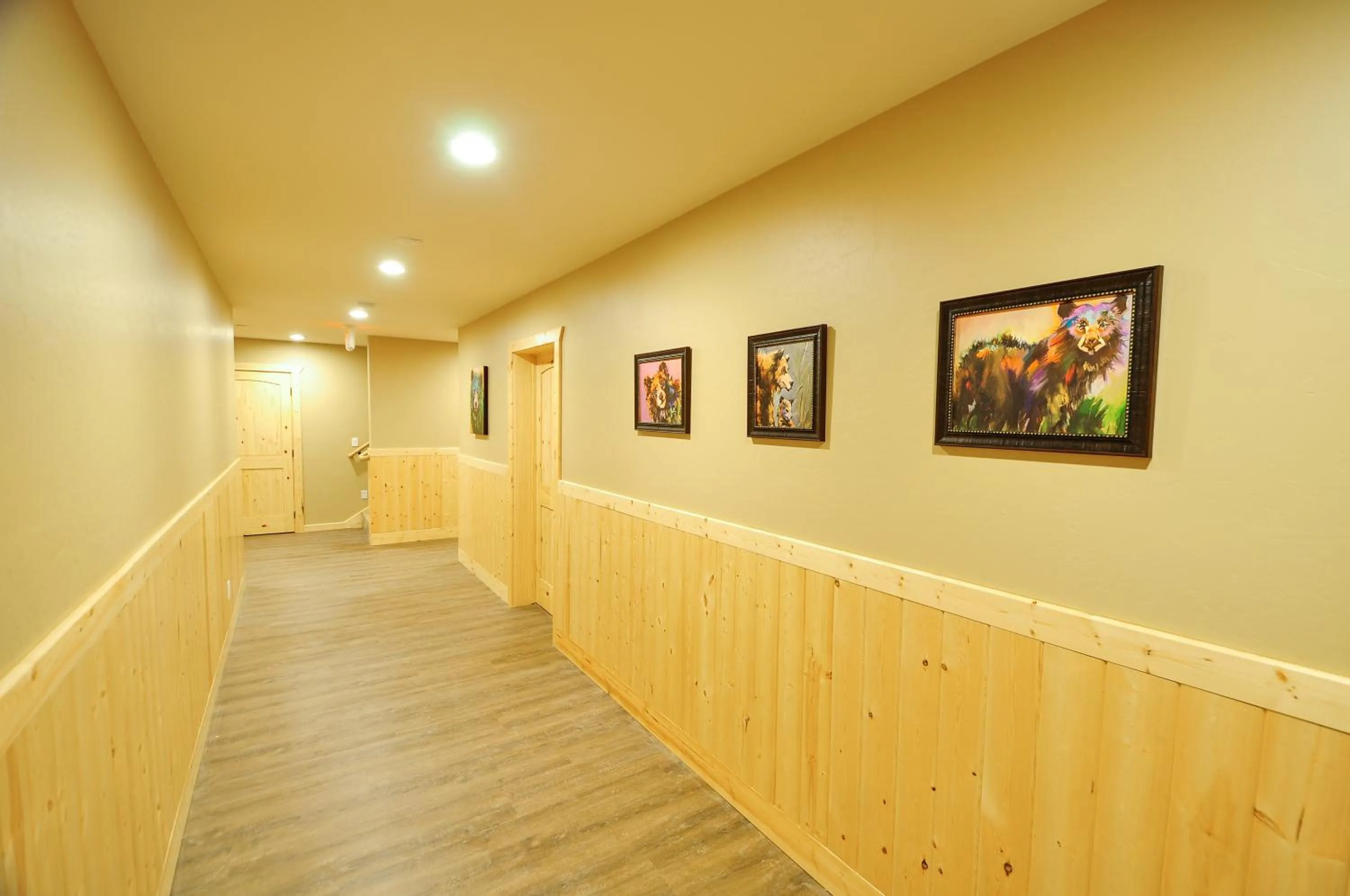 Area and facilities in Paddle Ridge