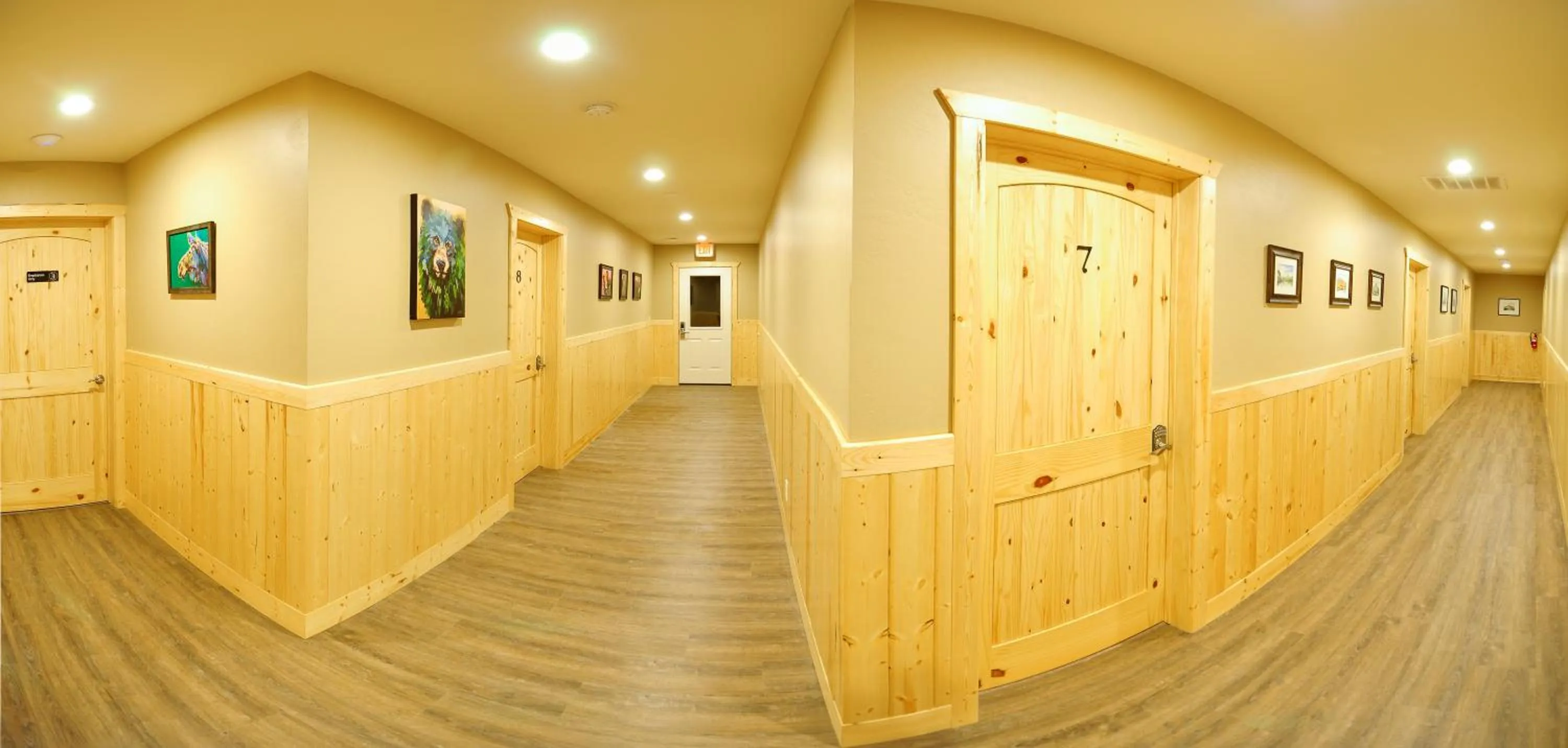 Area and facilities in Paddle Ridge