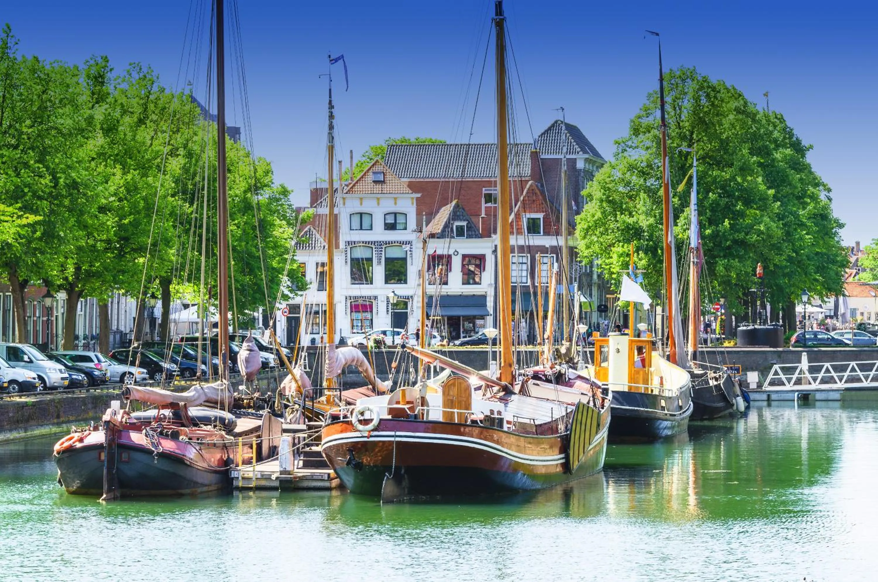 Natural landscape in easyHotel Rotterdam City Centre