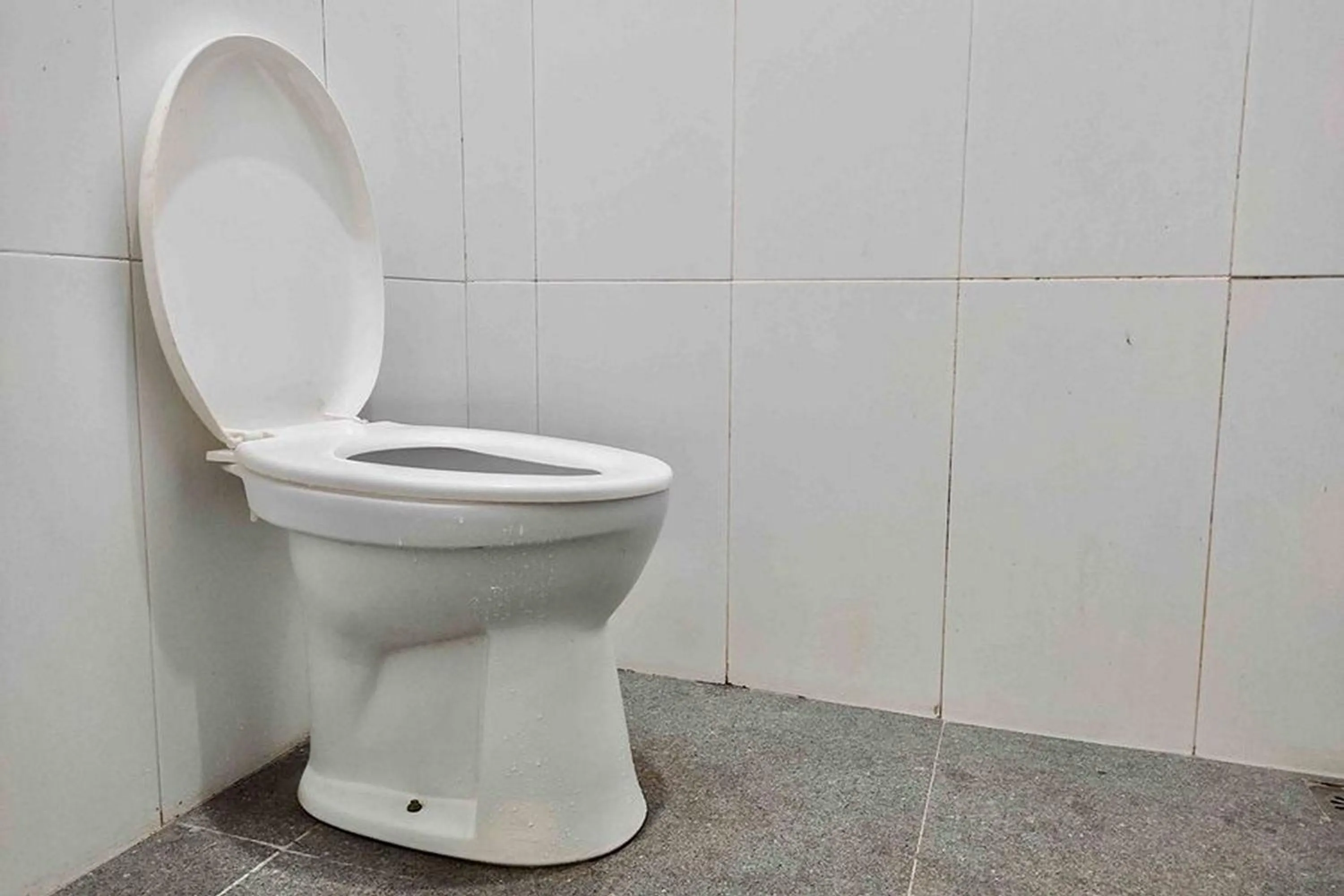 Homestay Griya Sawah Gunung Syariah Mitra RedDoorz