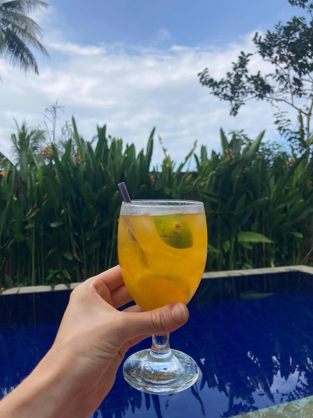 Pranajaya loka villa