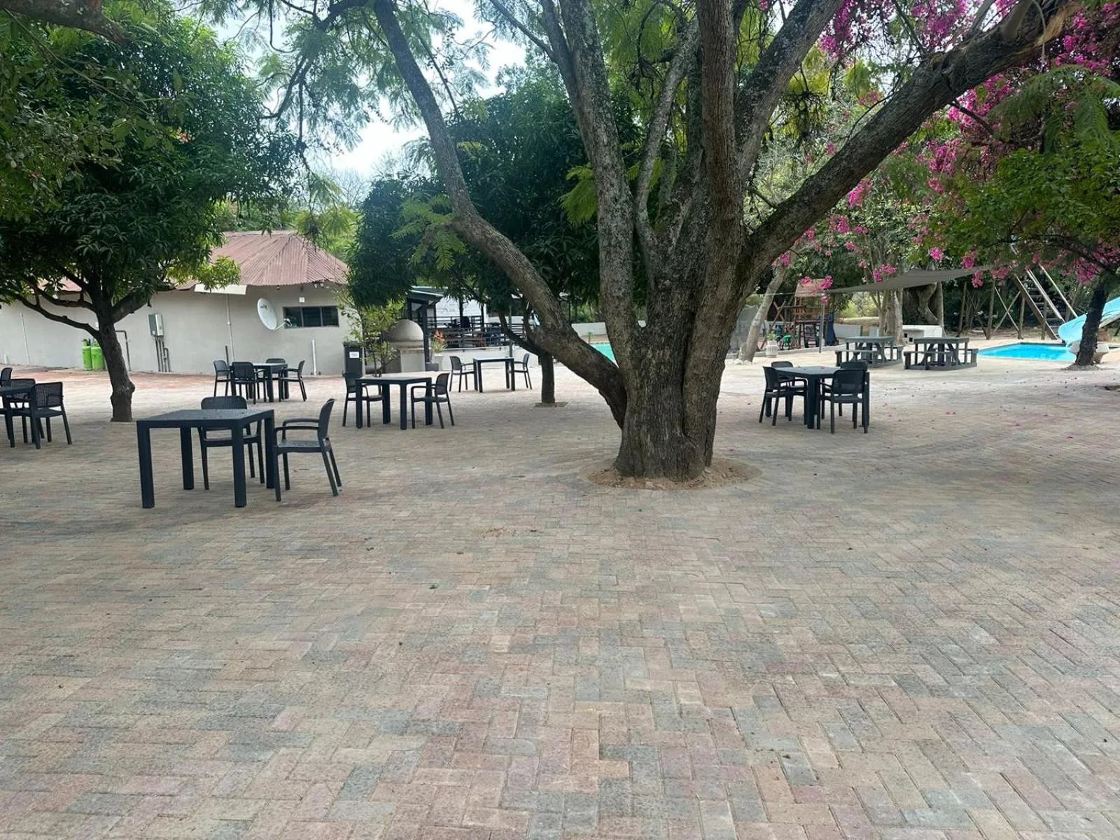 Restaurant/places to eat in Mabalel Lodge