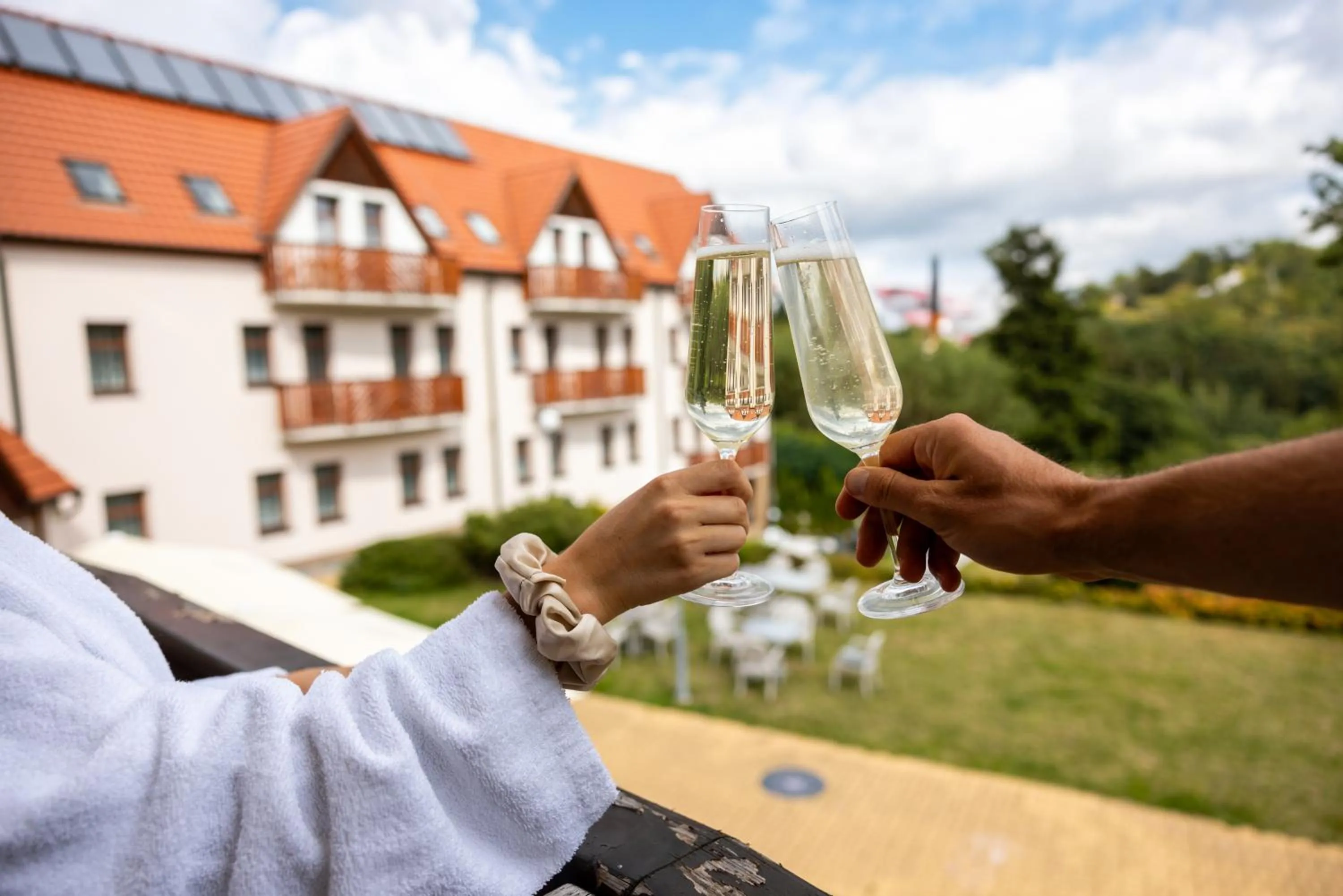 View (from property/room) in Pytloun Wellness Hotel Hasištejn