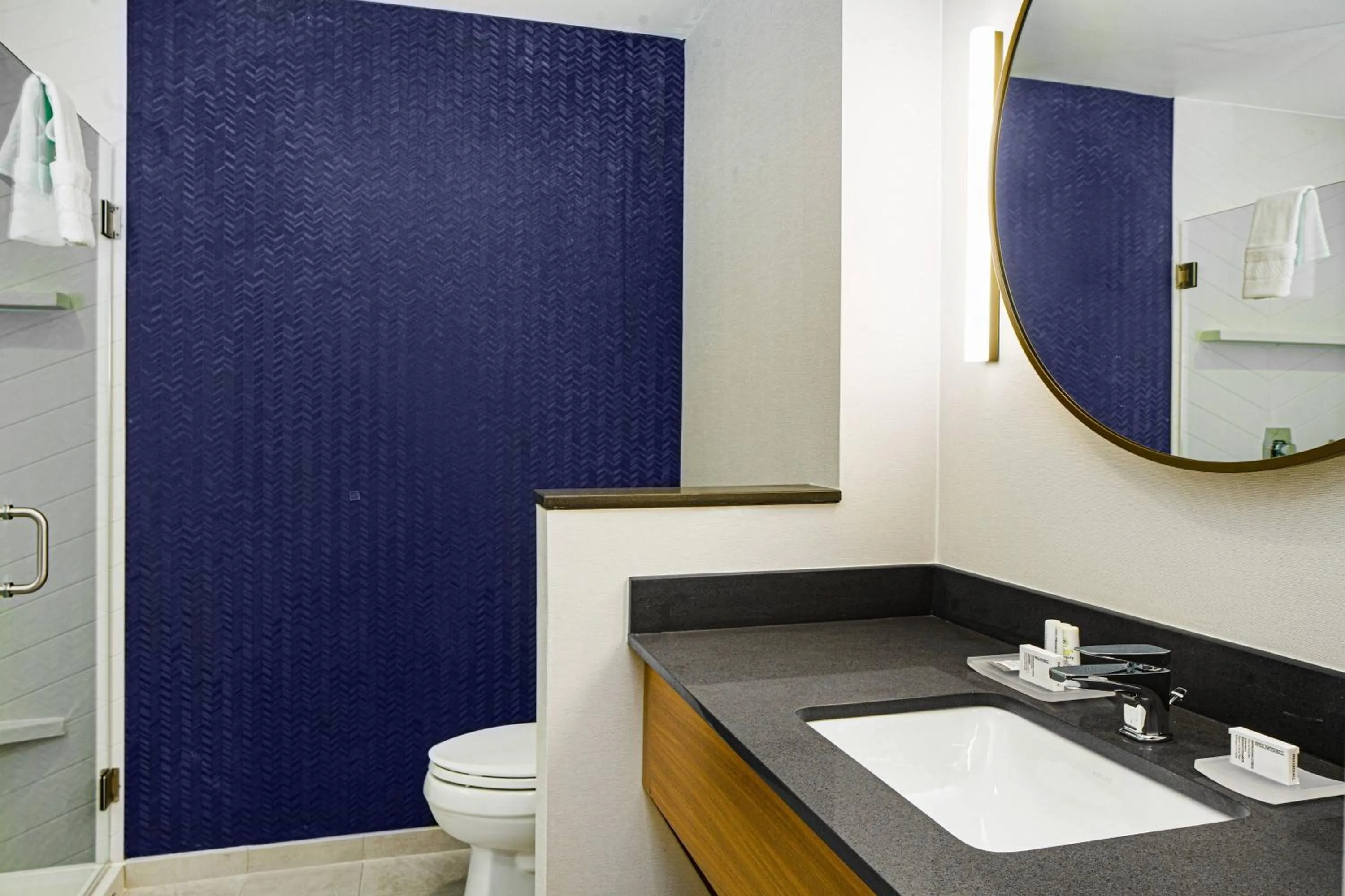 Bathroom in Fairfield by Marriott Inn & Suites Deerfield Beach Boca Raton