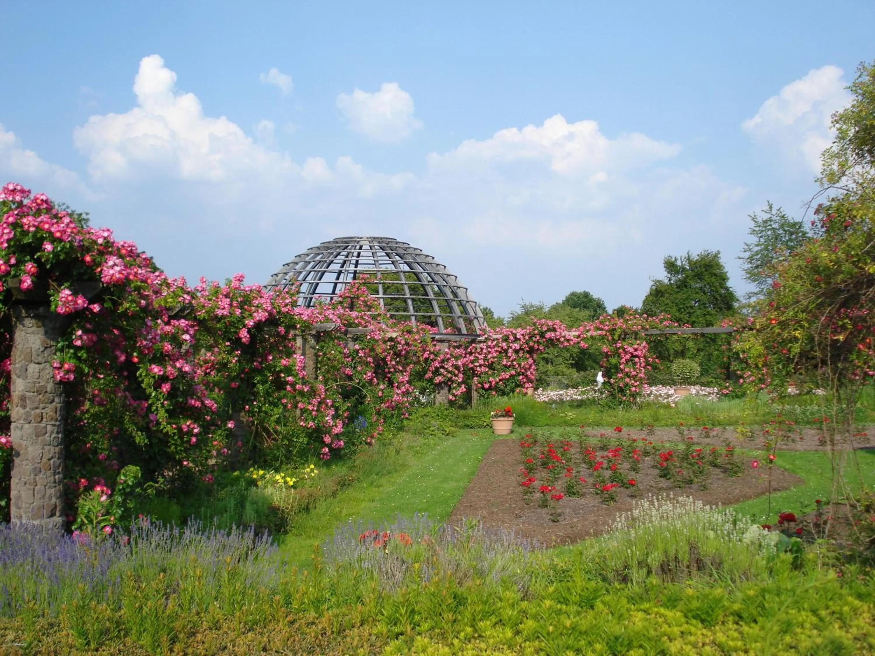 Nearby landmark in Holiday Inn Express - Darmstadt by IHG