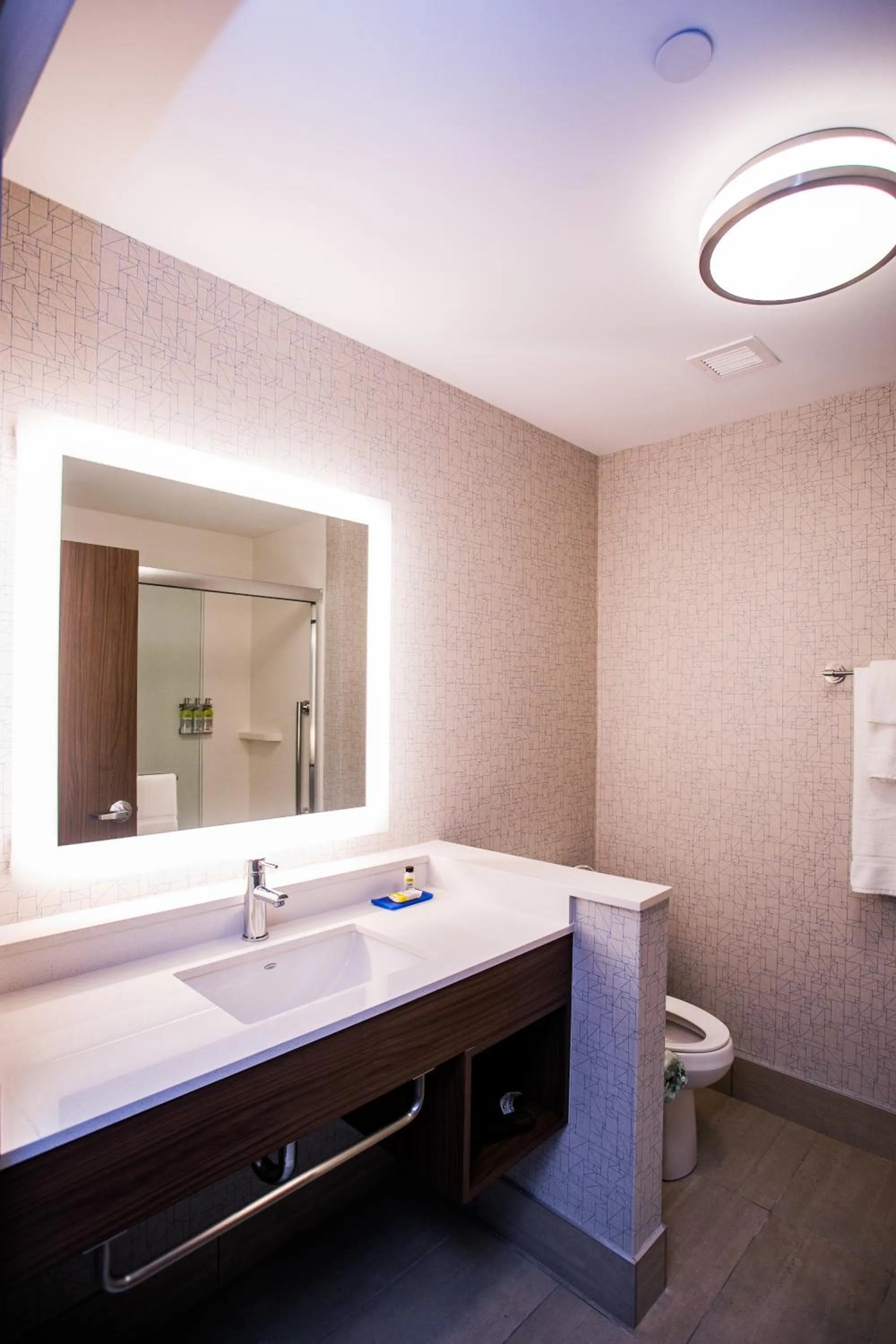Toilet in Holiday Inn Express & Suites Rehoboth Beach by IHG