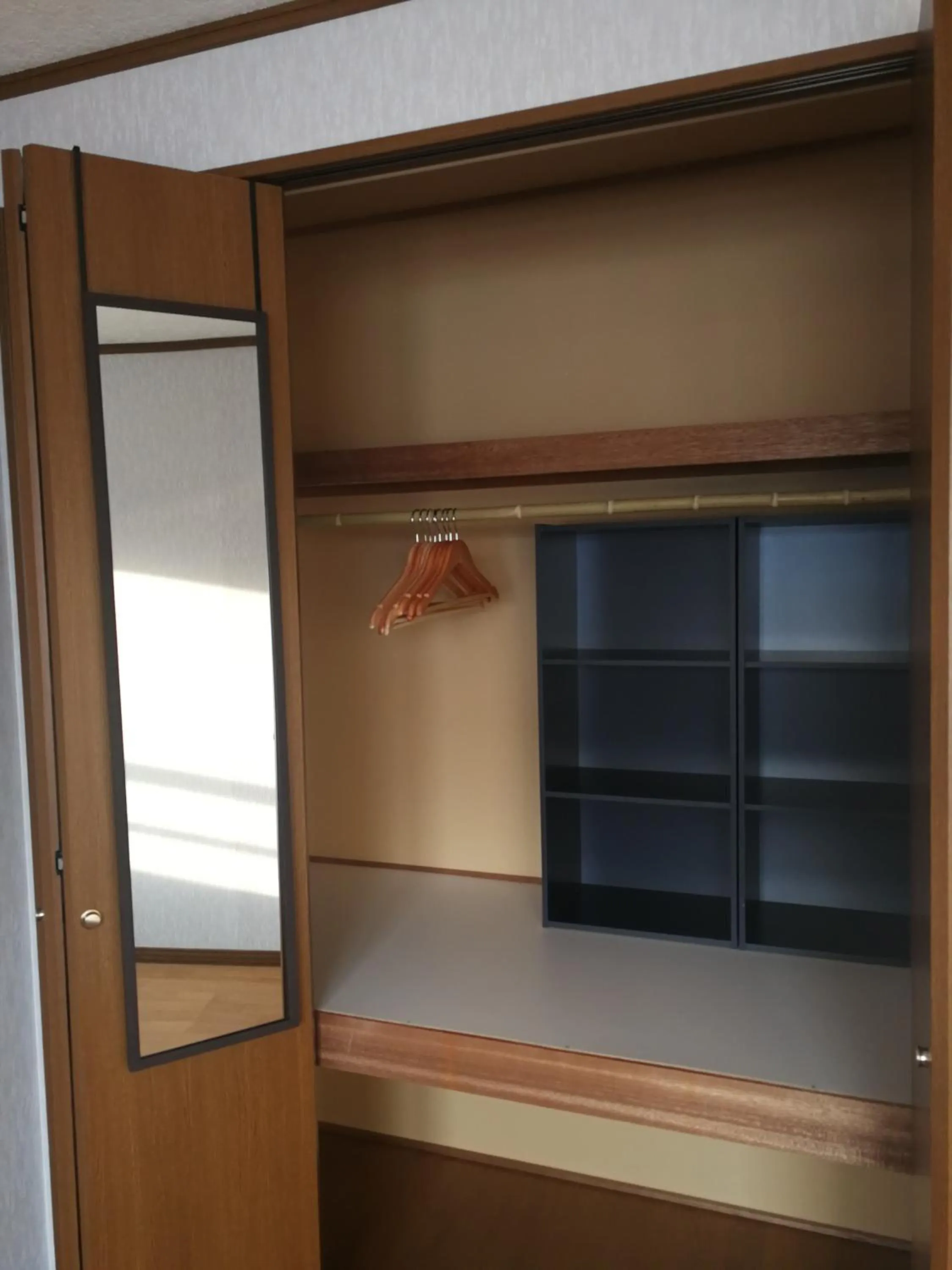 wardrobe in Other Side House