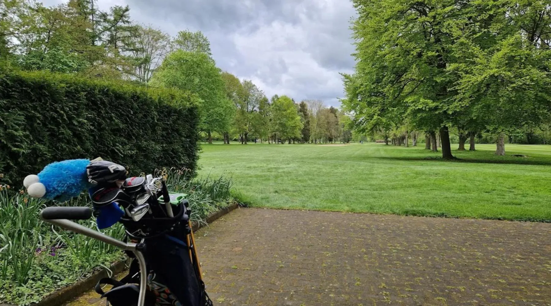 Golfcourse in Dolce by Wyndham Bad Nauheim