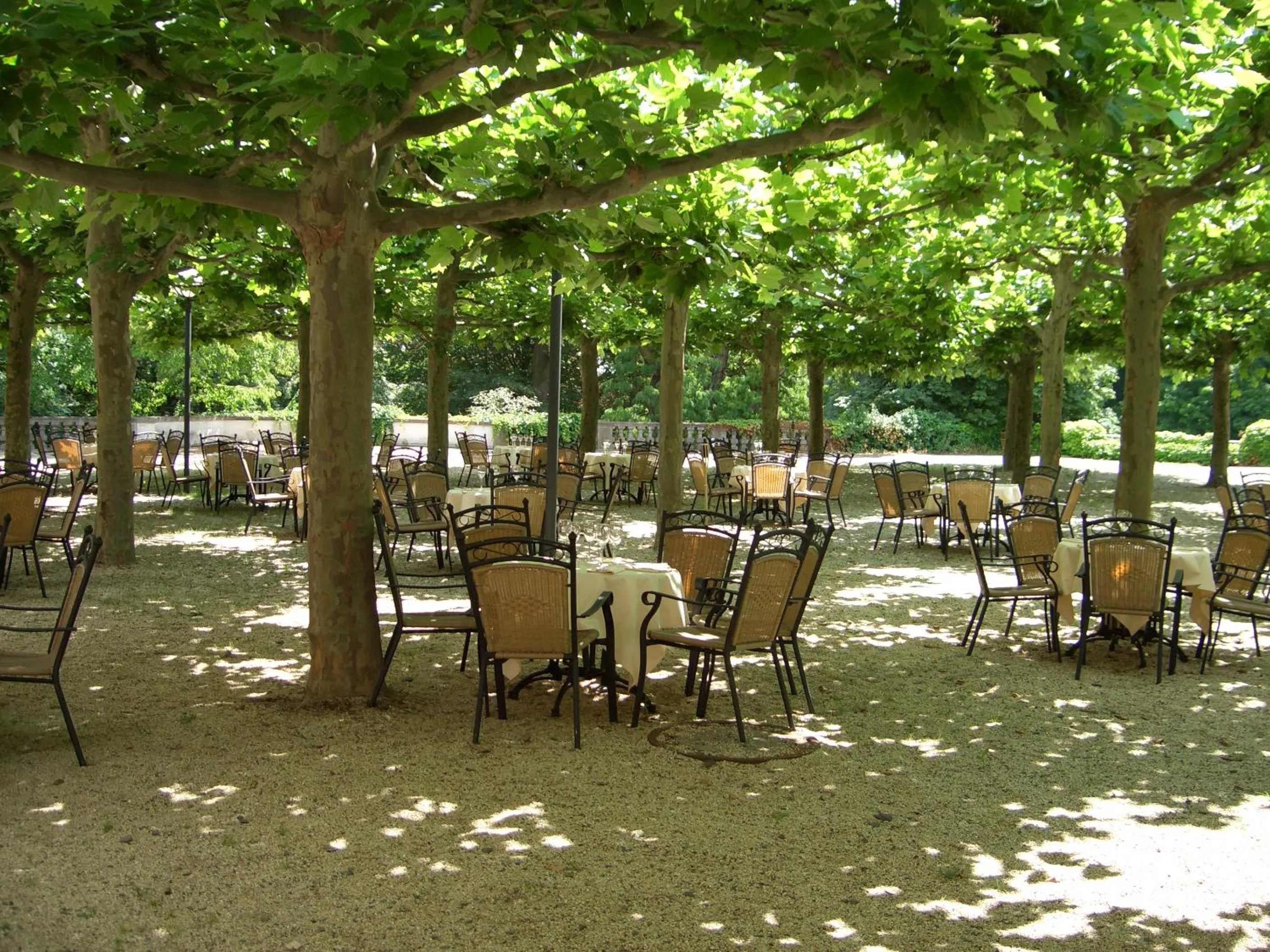 Restaurant/places to eat in Dolce by Wyndham Bad Nauheim