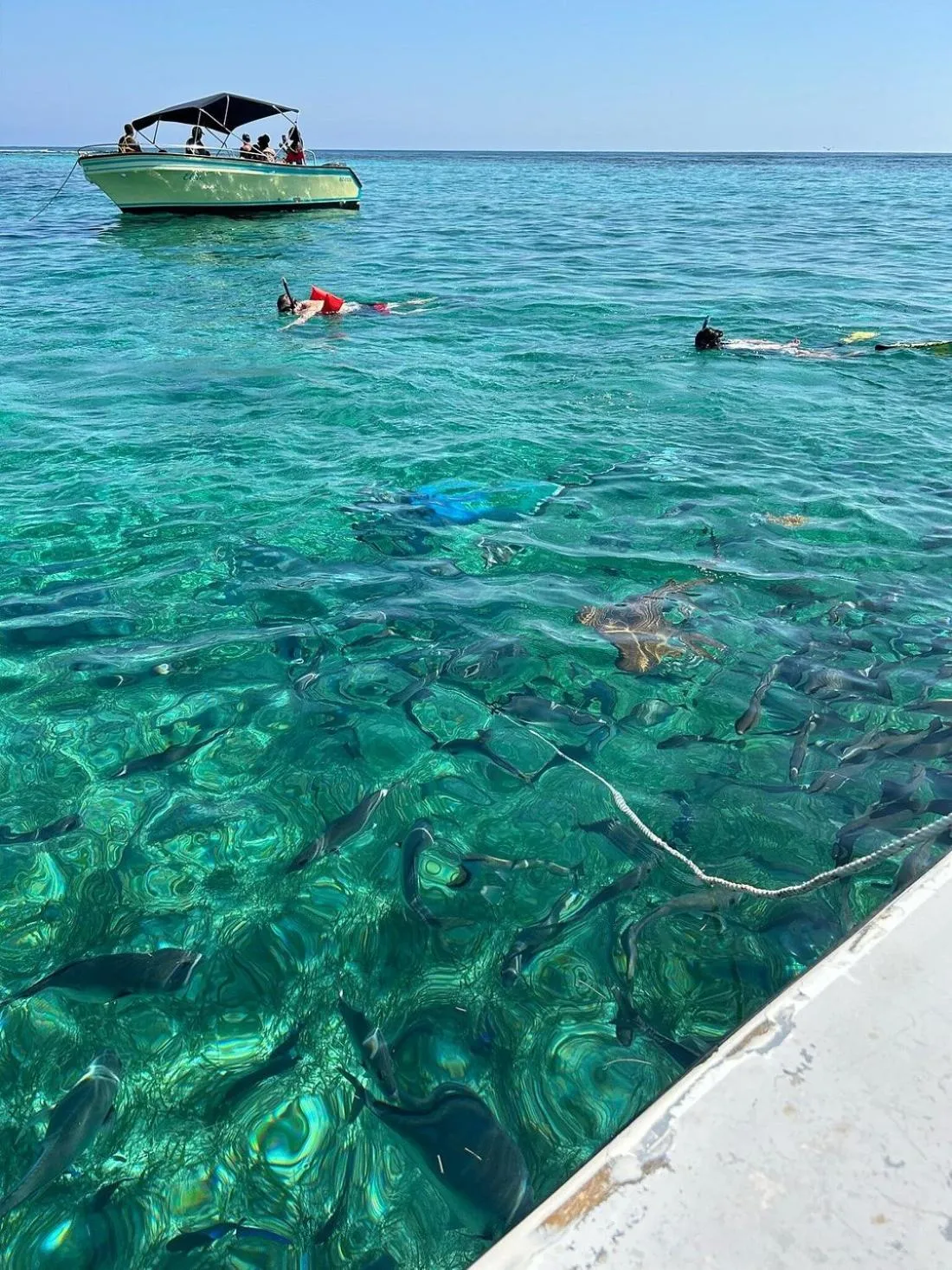 Fishing in X'tan Ha- The Waterfront