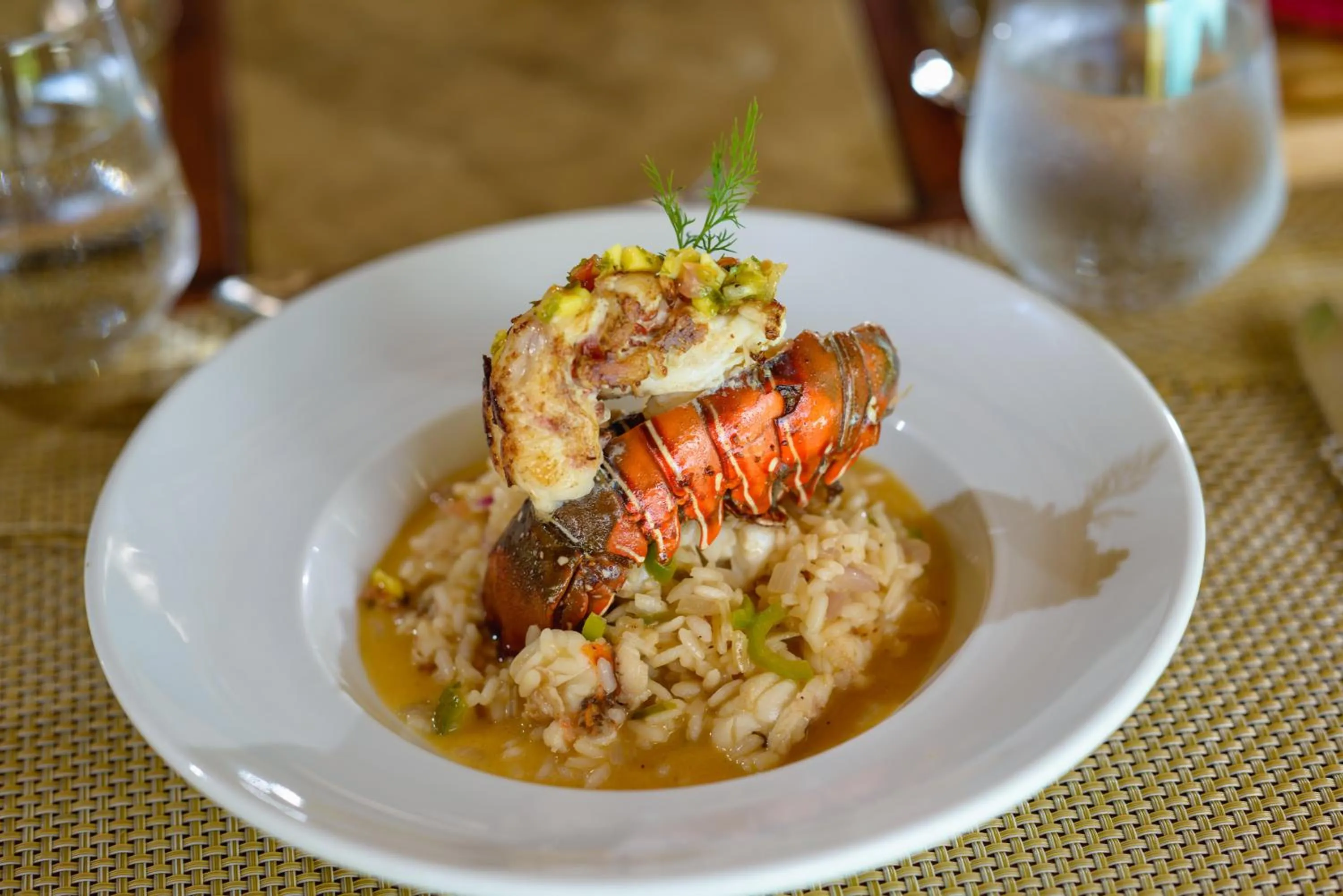 Food and drinks in Morgan's Rock Reserve & Ecolodge