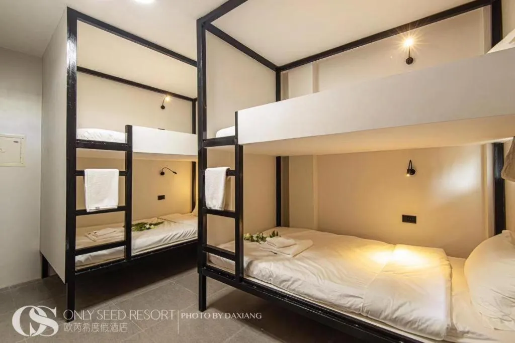 bunk bed, Bed in Only Seed Resort 欧芮希度假酒店