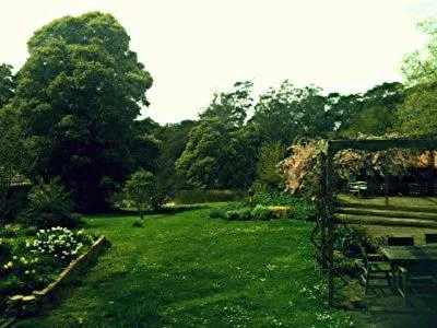 Garden in Birdwing Bed and Breakfast Weegena