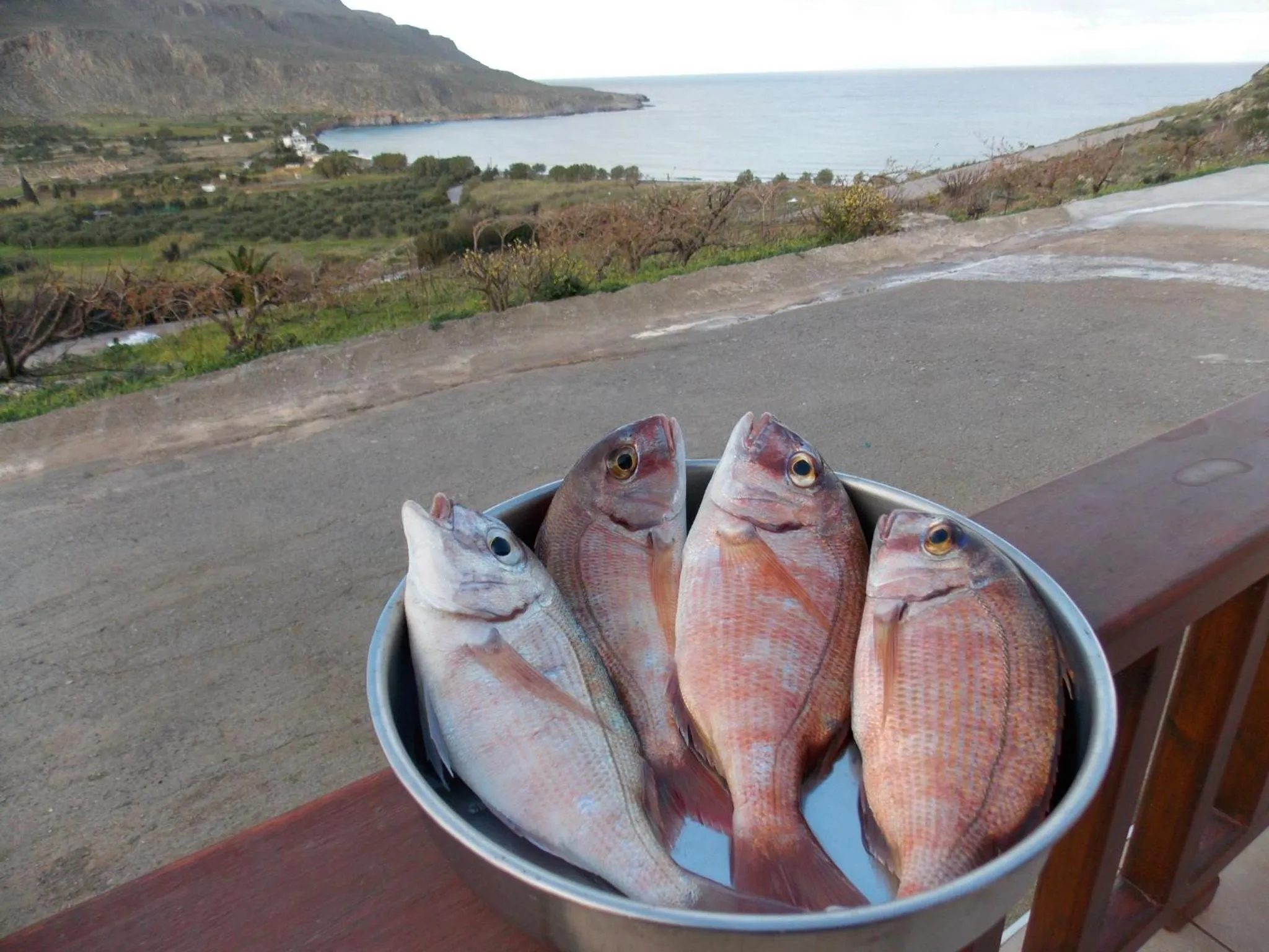 Fishing in Kato Zakros Palace Apartments