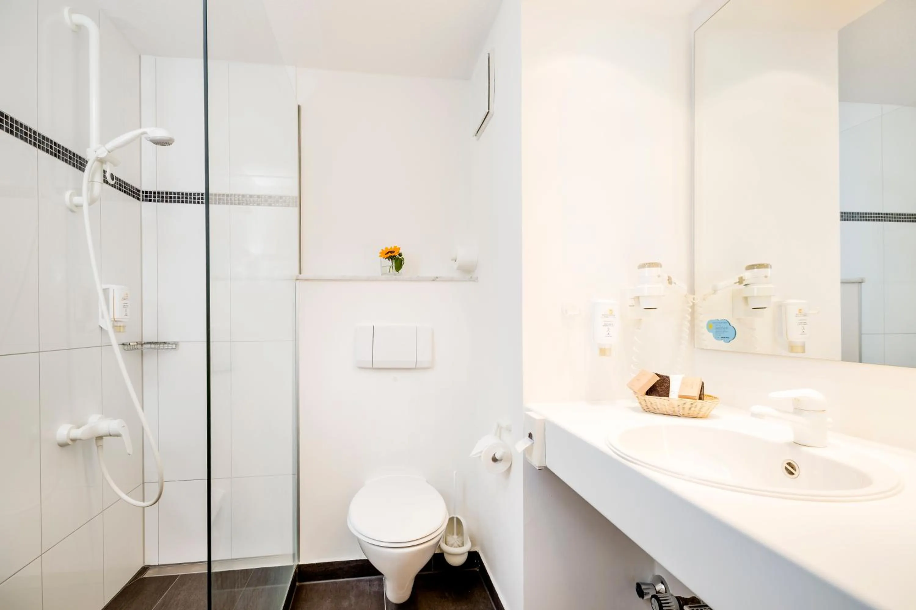 Decorative detail in Taste Hotel Dresden-ehemals Residenz Alt Dresden