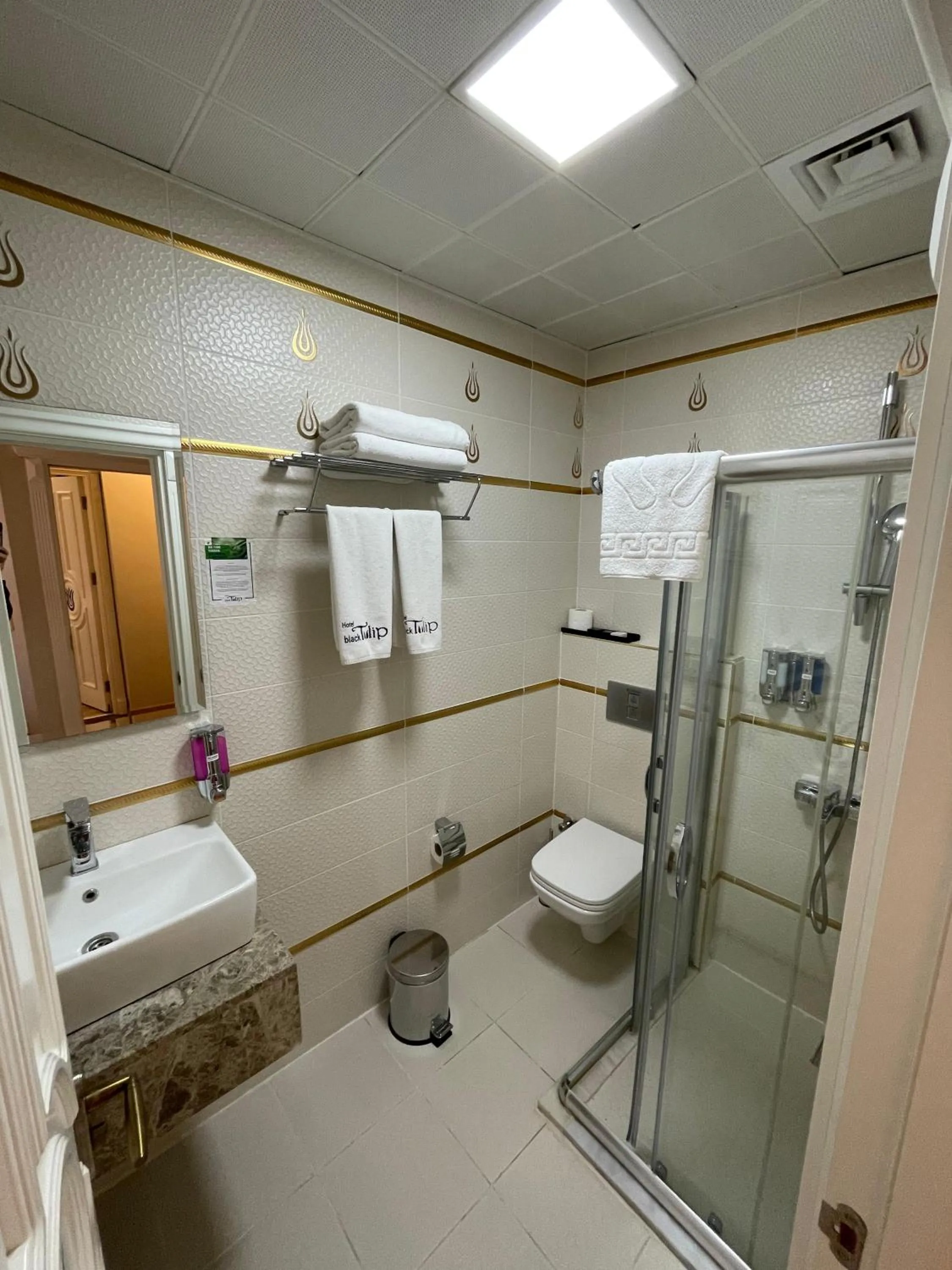 Shower in Hotel Black Tulip