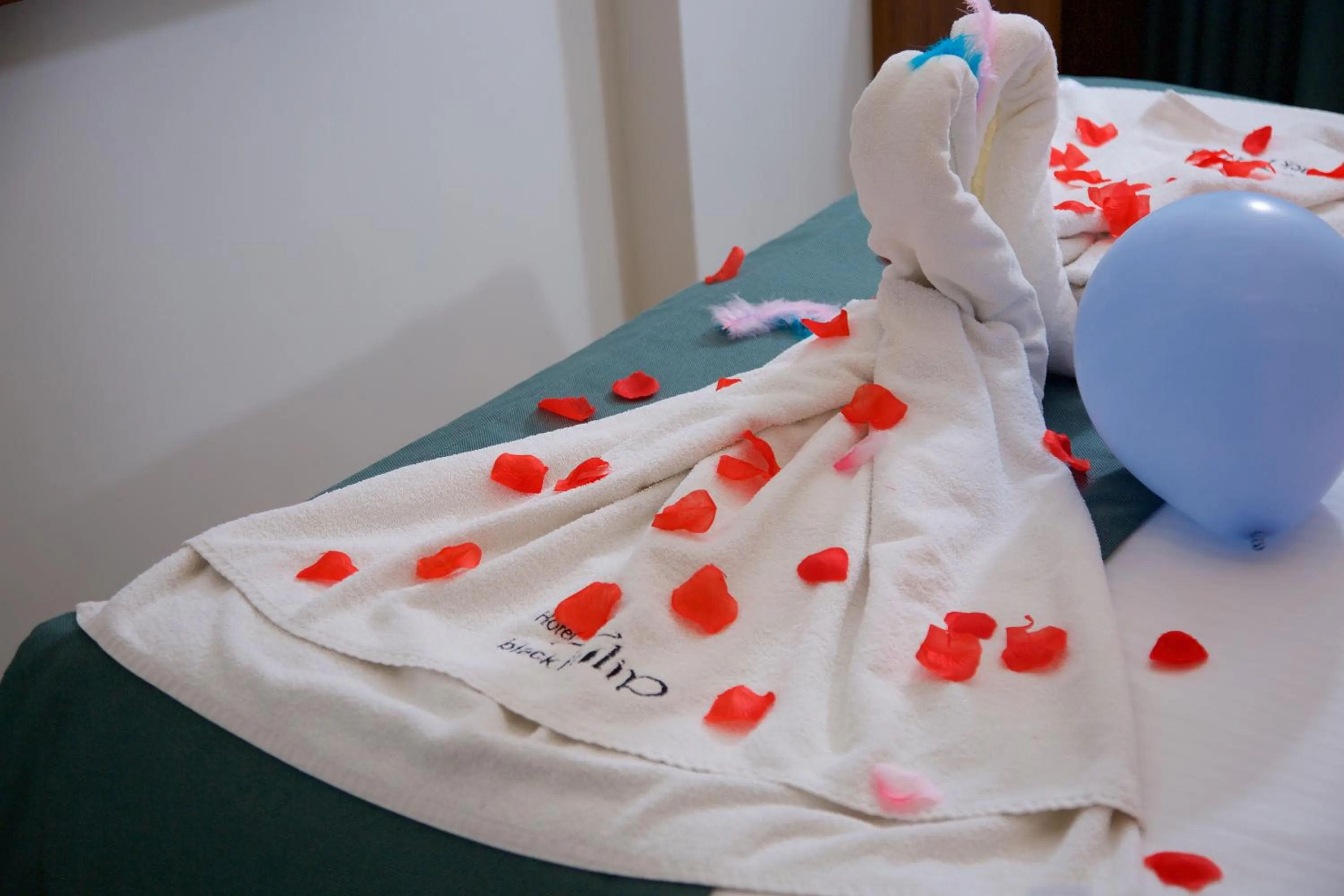 Photo of the whole room in Hotel Black Tulip