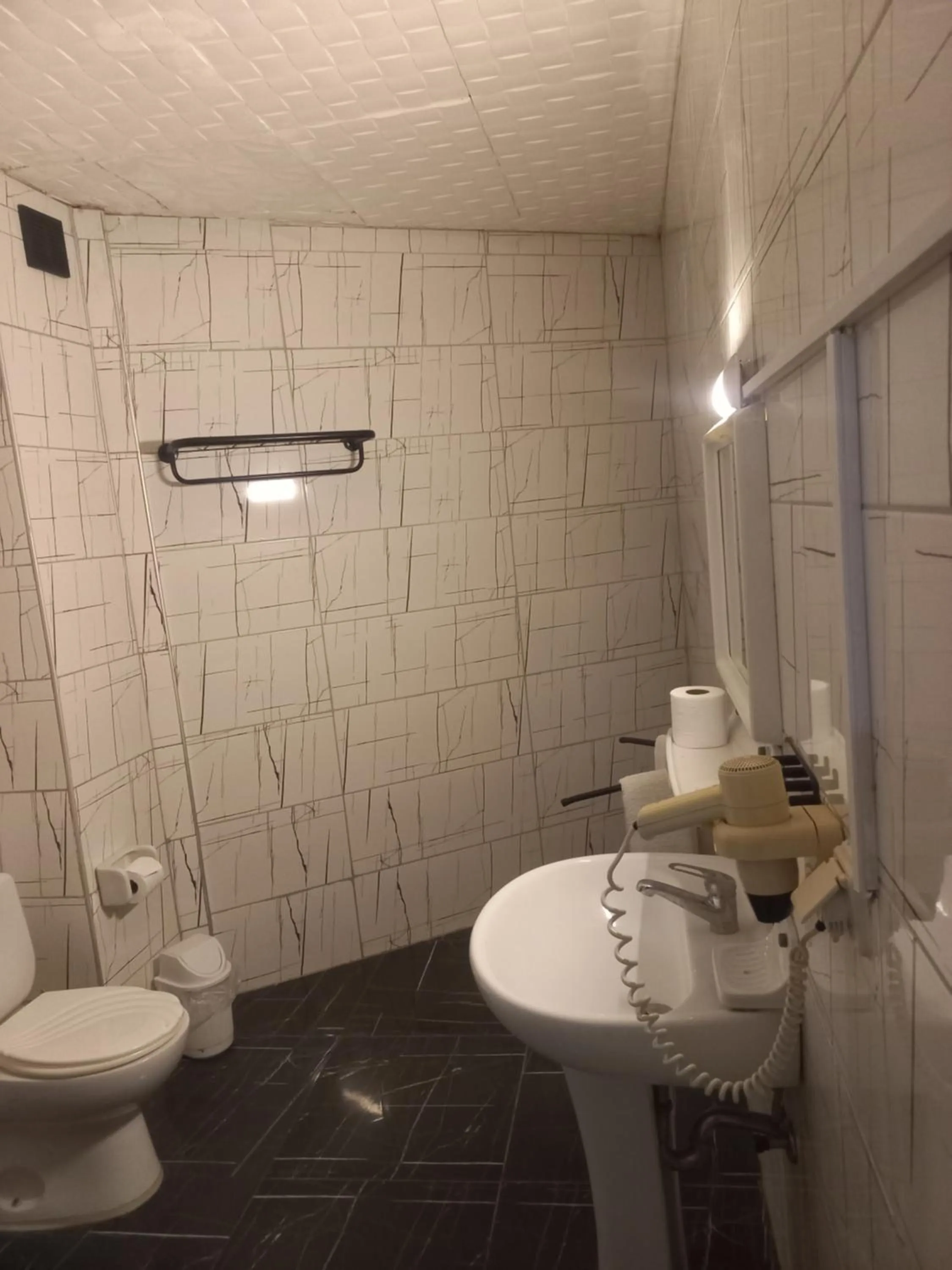 Toilet in Delphin Apart Hotel