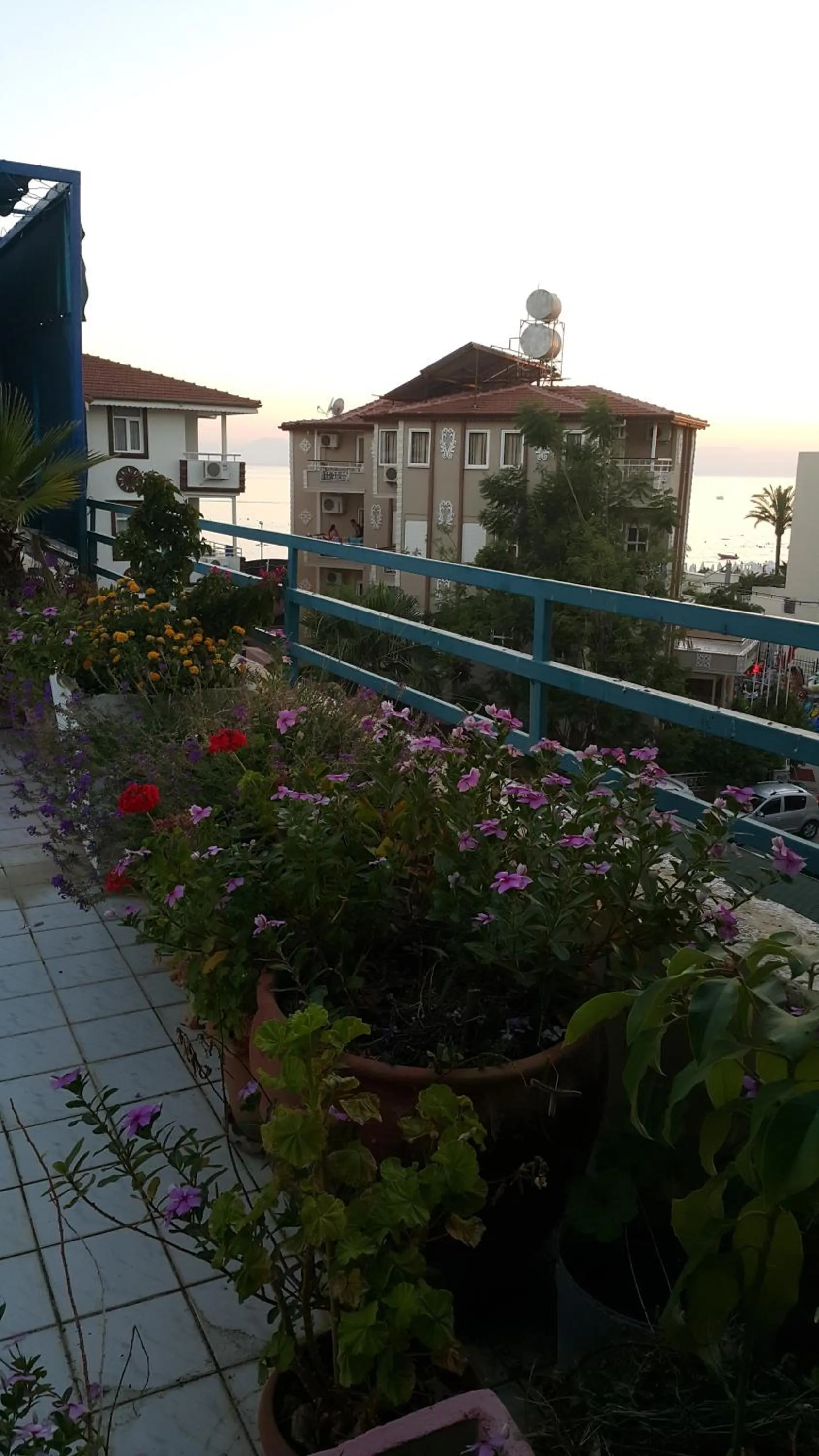 On site in Delphin Apart Hotel