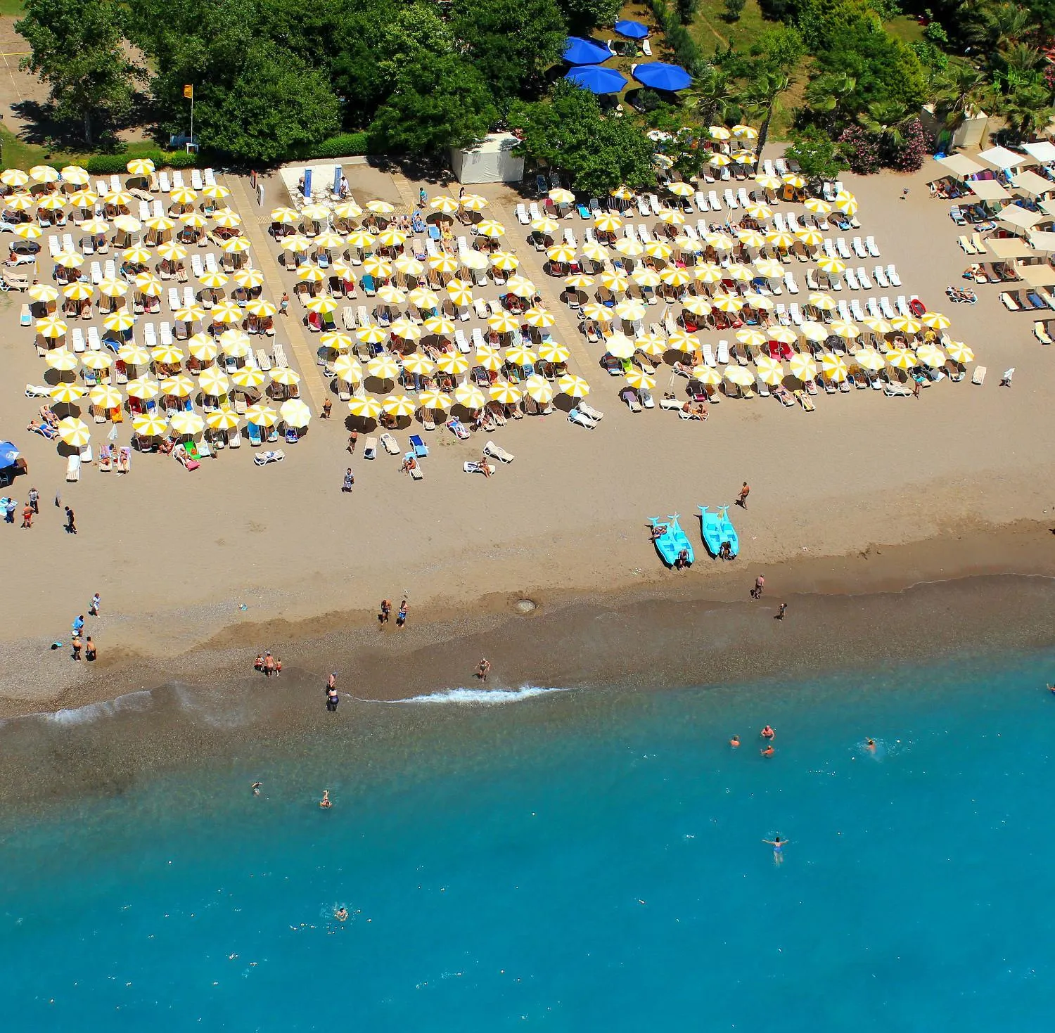 Beach in Delphin Apart Hotel