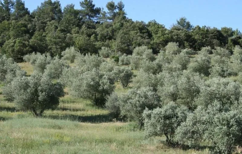 View (from property/room) in Chambre d'Hotes La Brunetière