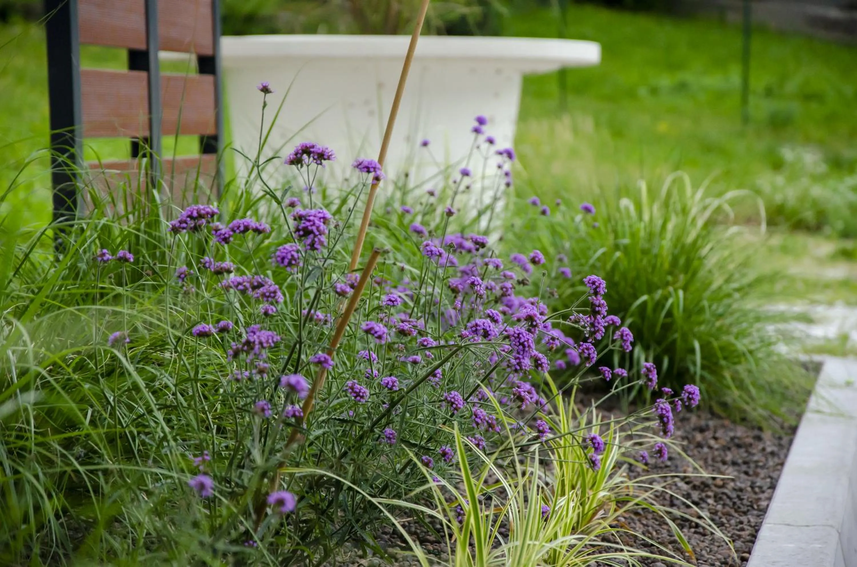 Spring in Hotel Alla Fonte