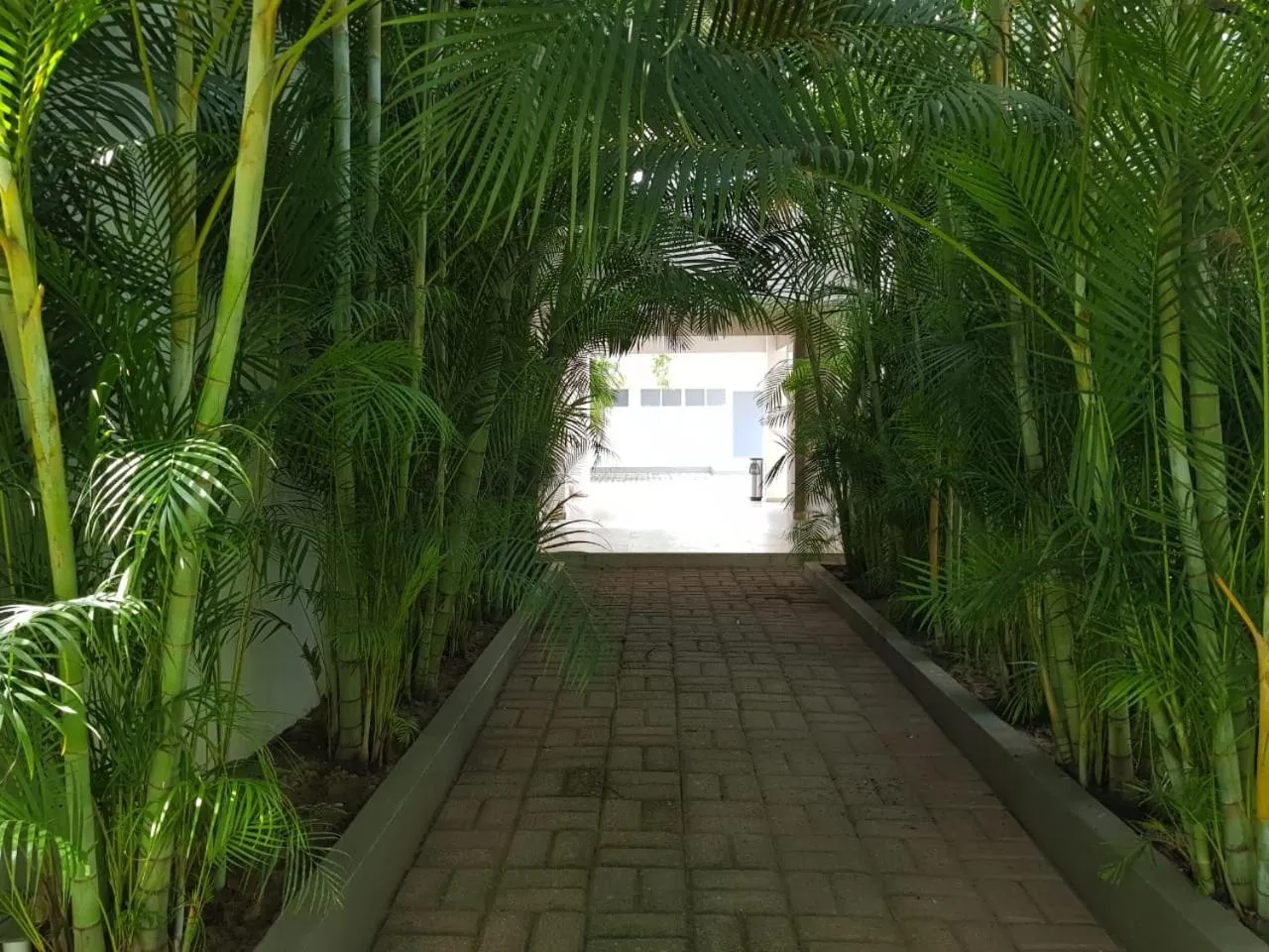 Garden view in Hotel Verdi