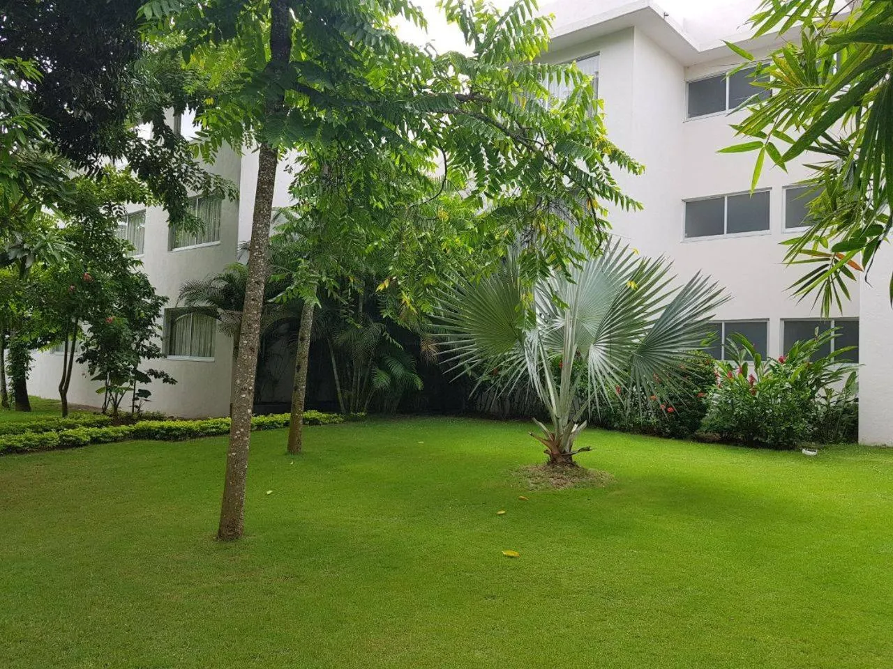 Garden view in Hotel Verdi