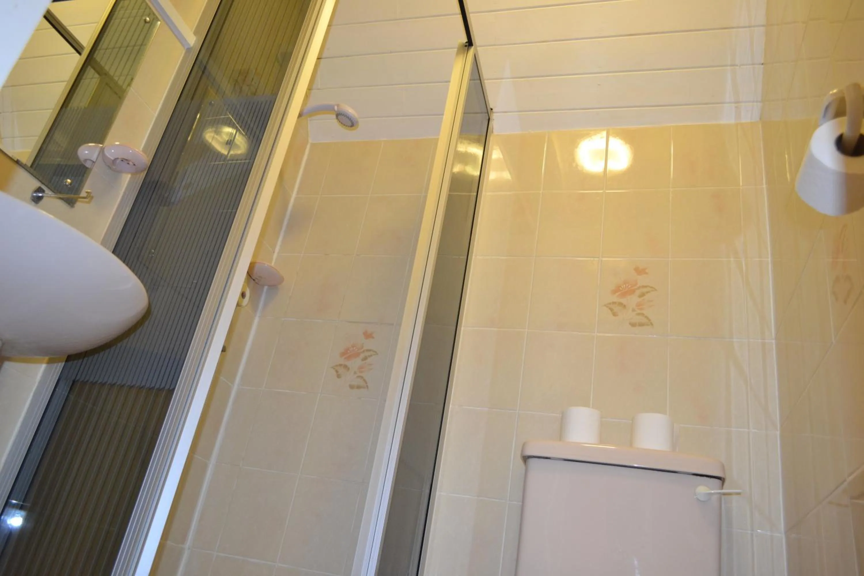 Shower in Croft Hotel