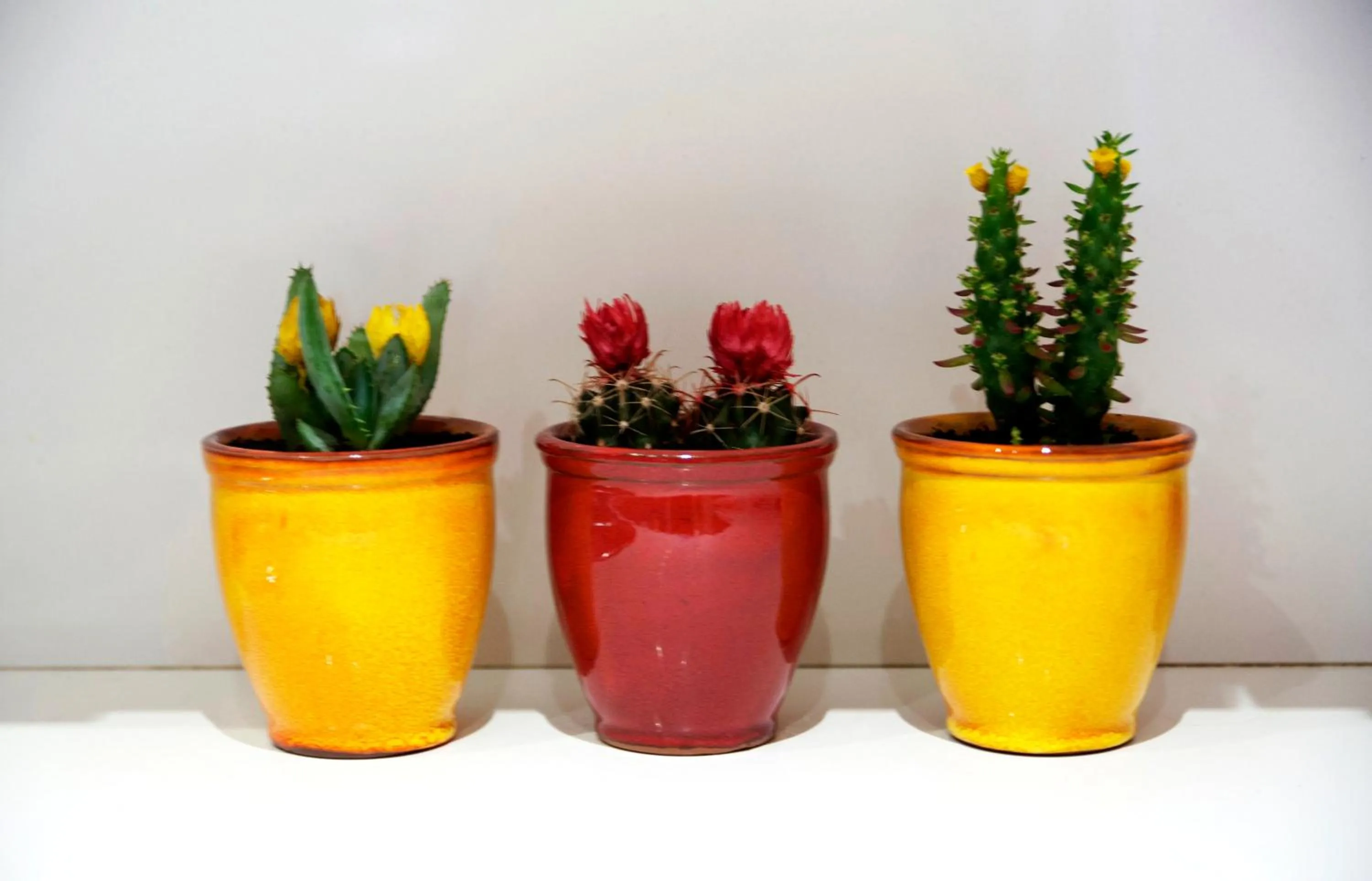 Other in Lux Apartments Barcelona