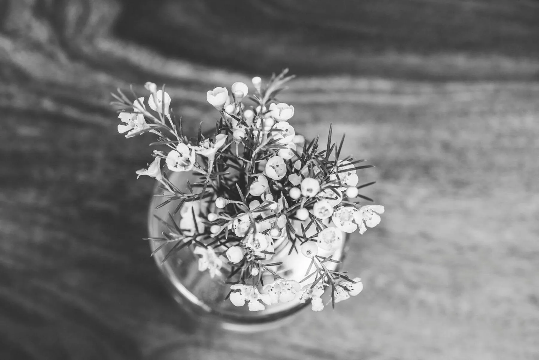 Emma's kleines Hotel