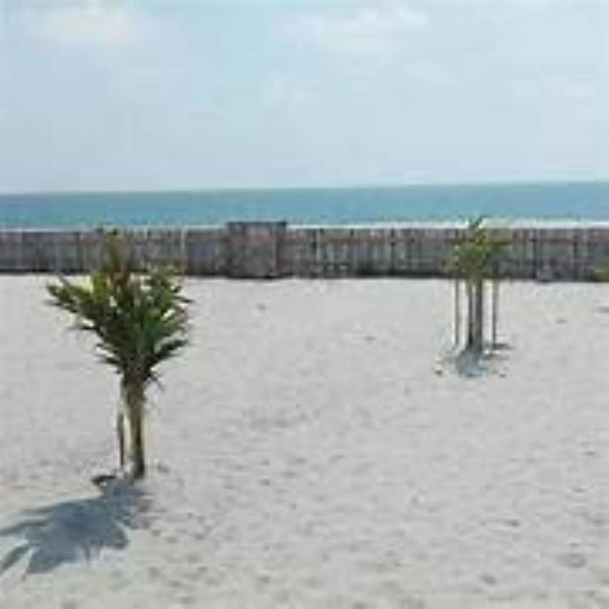 Beach in RedDoorz Plus @ Seaborne Hotel Subic Zambales