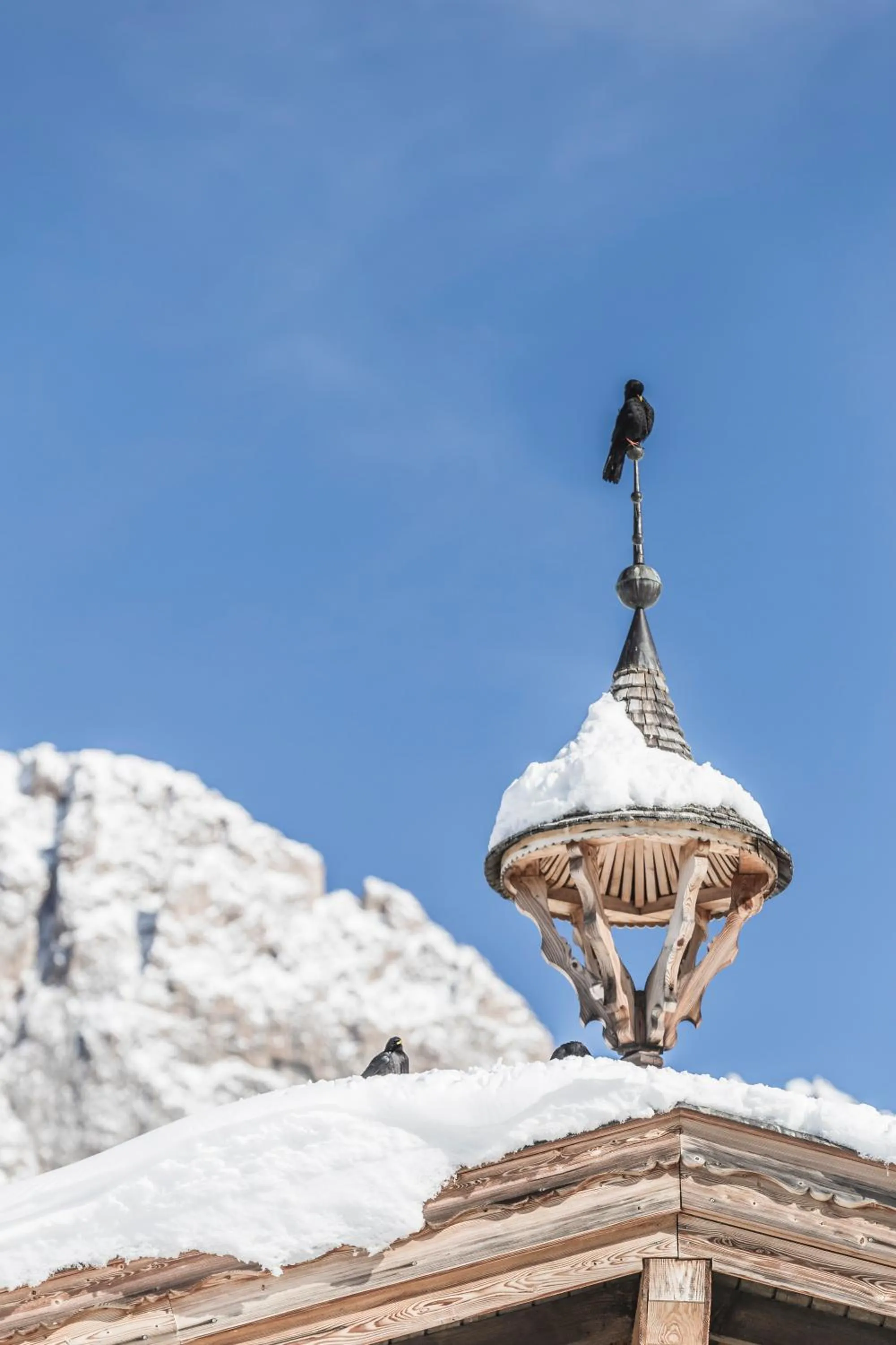 Day in Almhotel Col Raiser