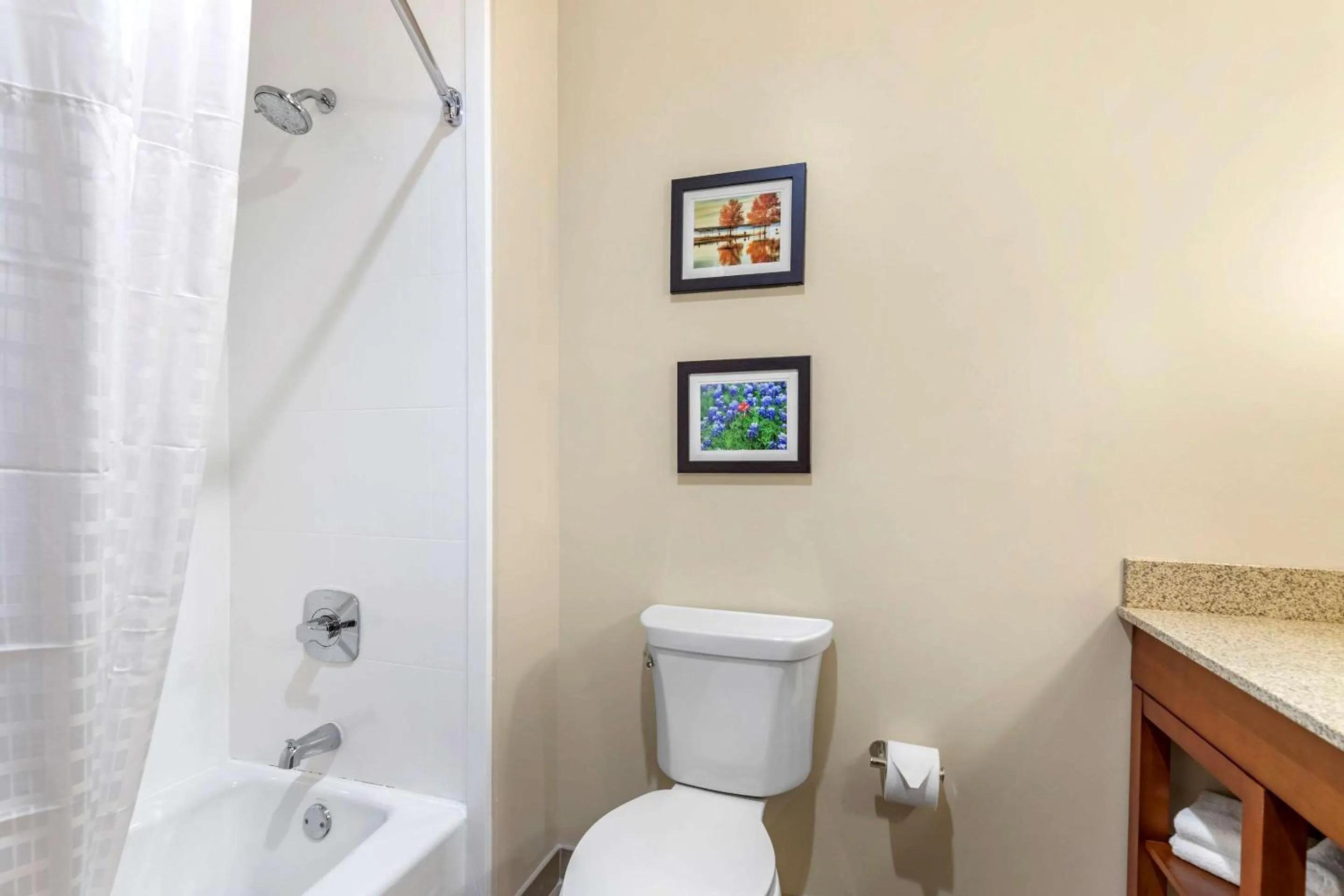 Bathroom in Comfort Suites San Antonio Ft Sam Houston-SAMMC Area