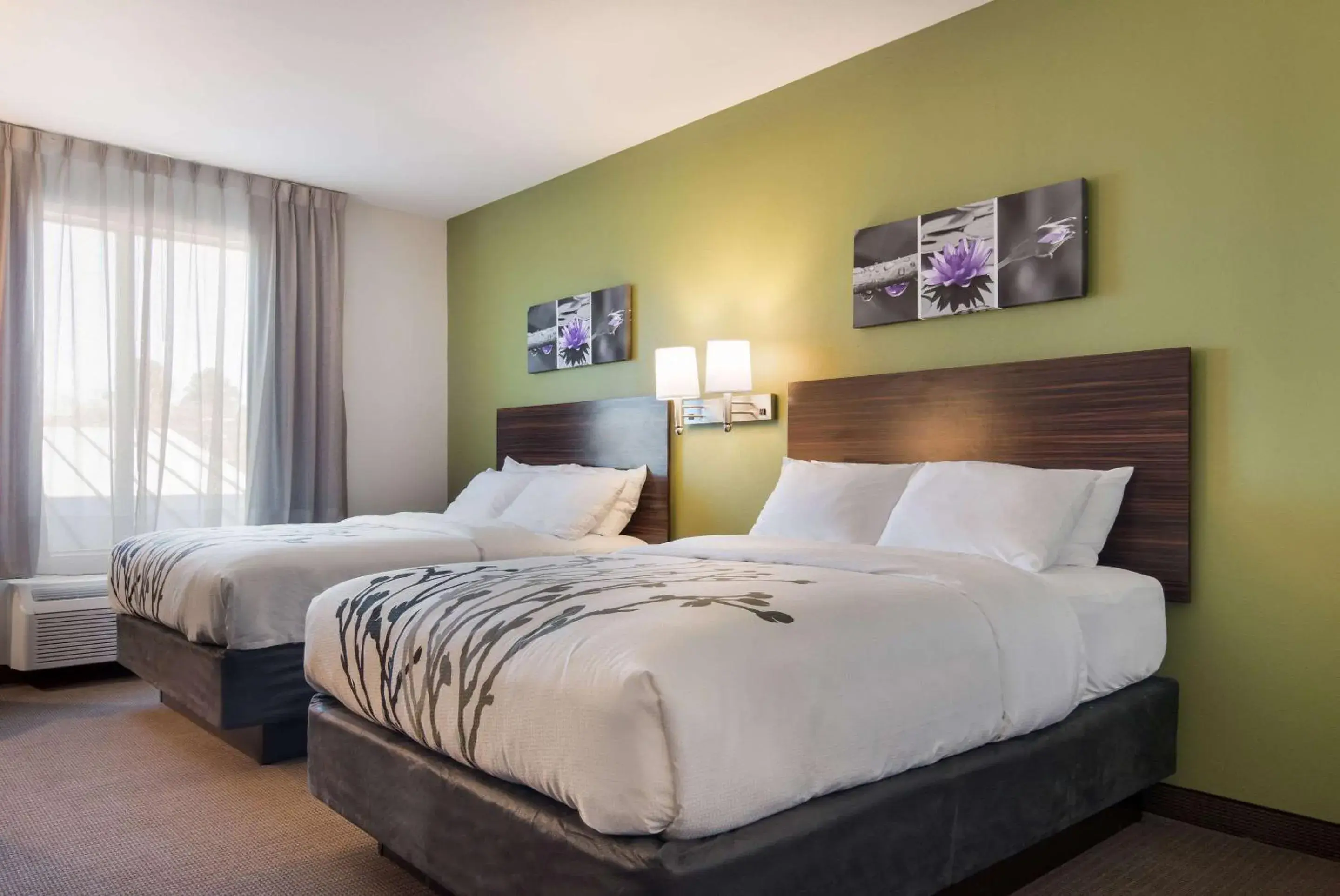 Queen Room with Two Queen Beds - Non-Smoking in Sleep Inn East Camden Queen Room with Two Queen Beds - Non-Smoking in Sleep Inn East Camden