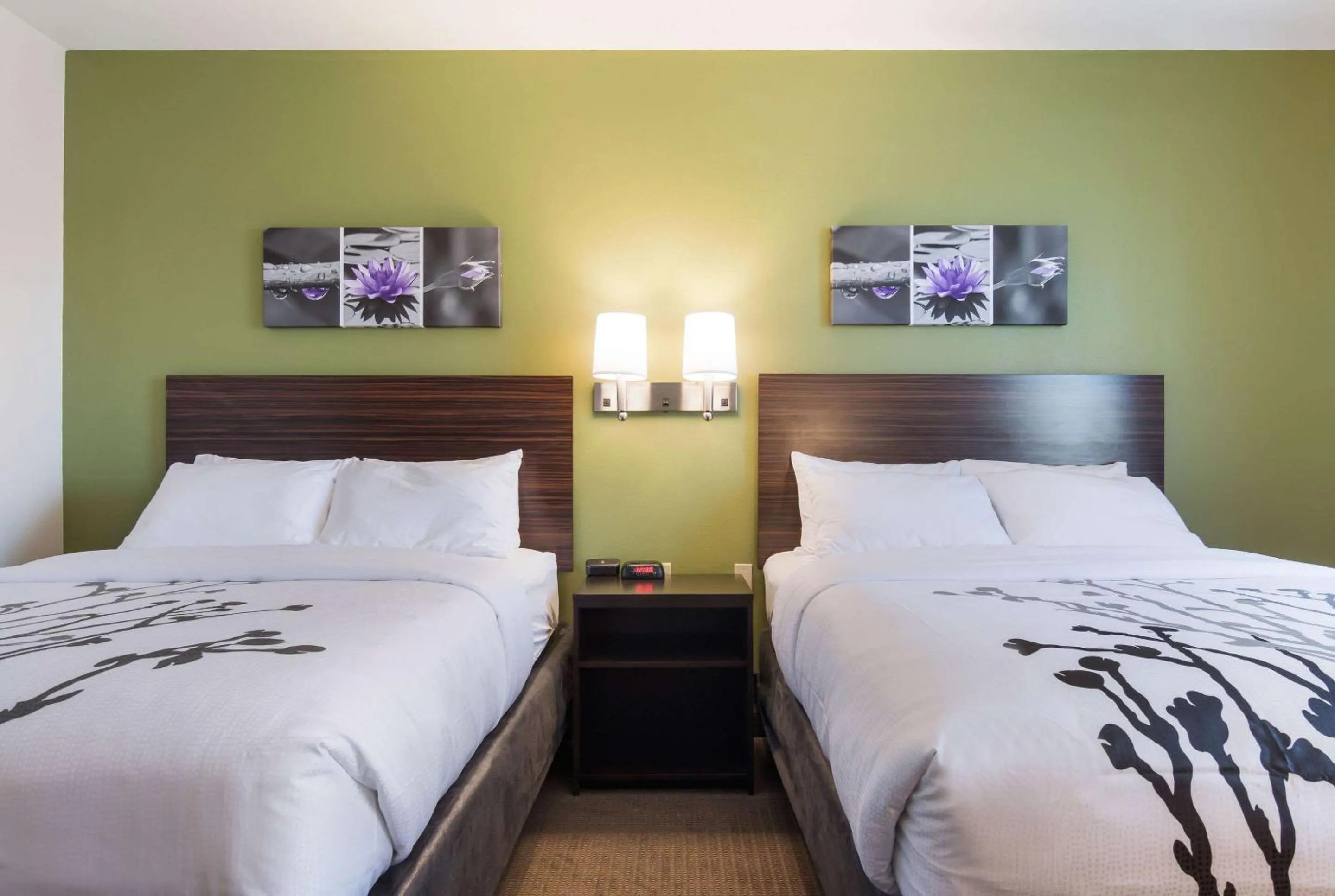 Photo of the whole room, Bed in Sleep Inn East Camden