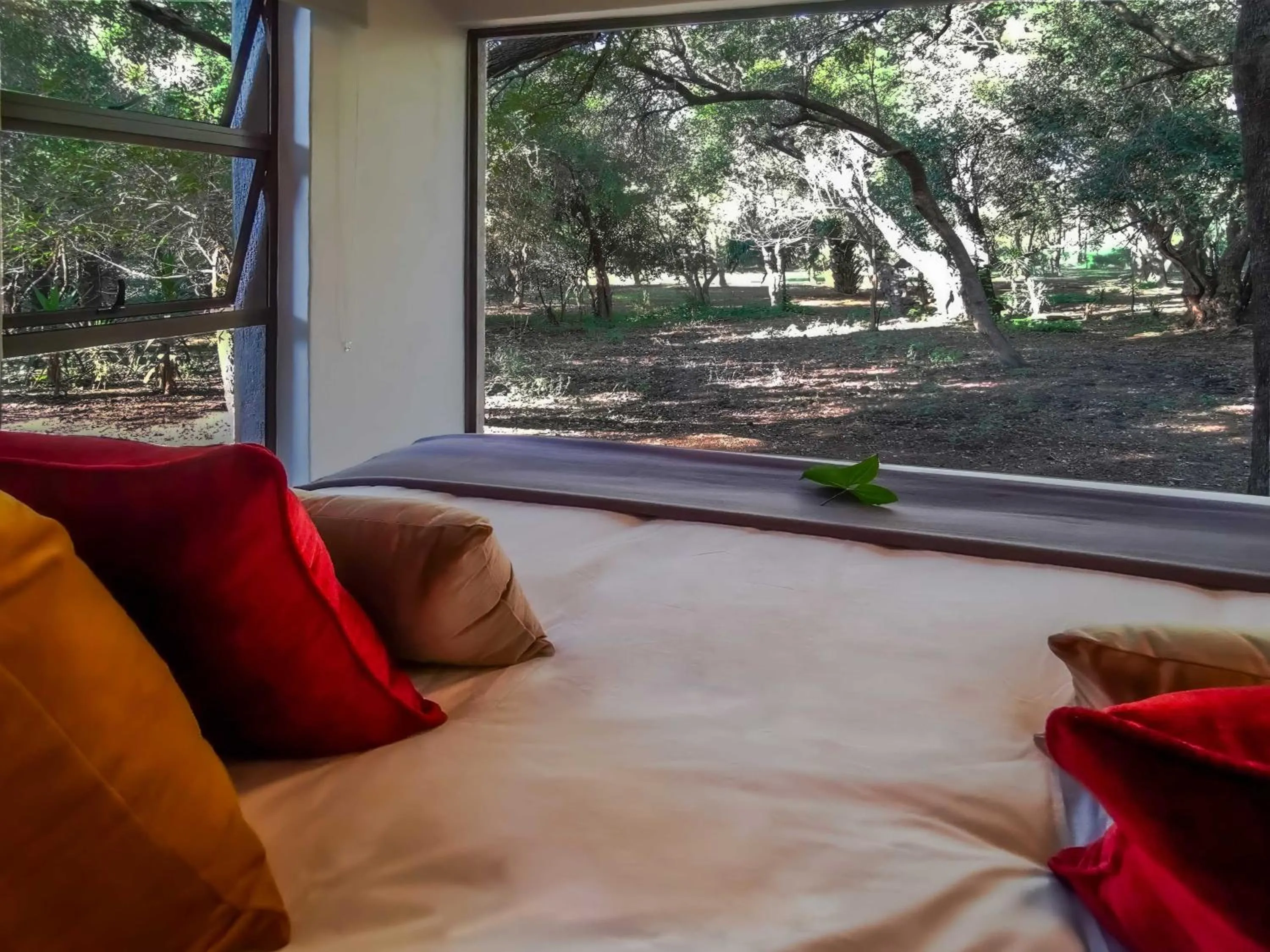 View (from property/room), Bed in Kruger Eden Lodge