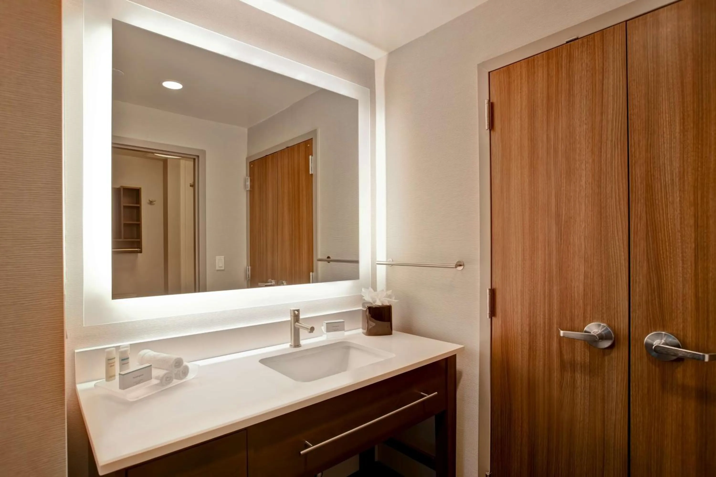 Bathroom in Homewood Suites By Hilton Summerville