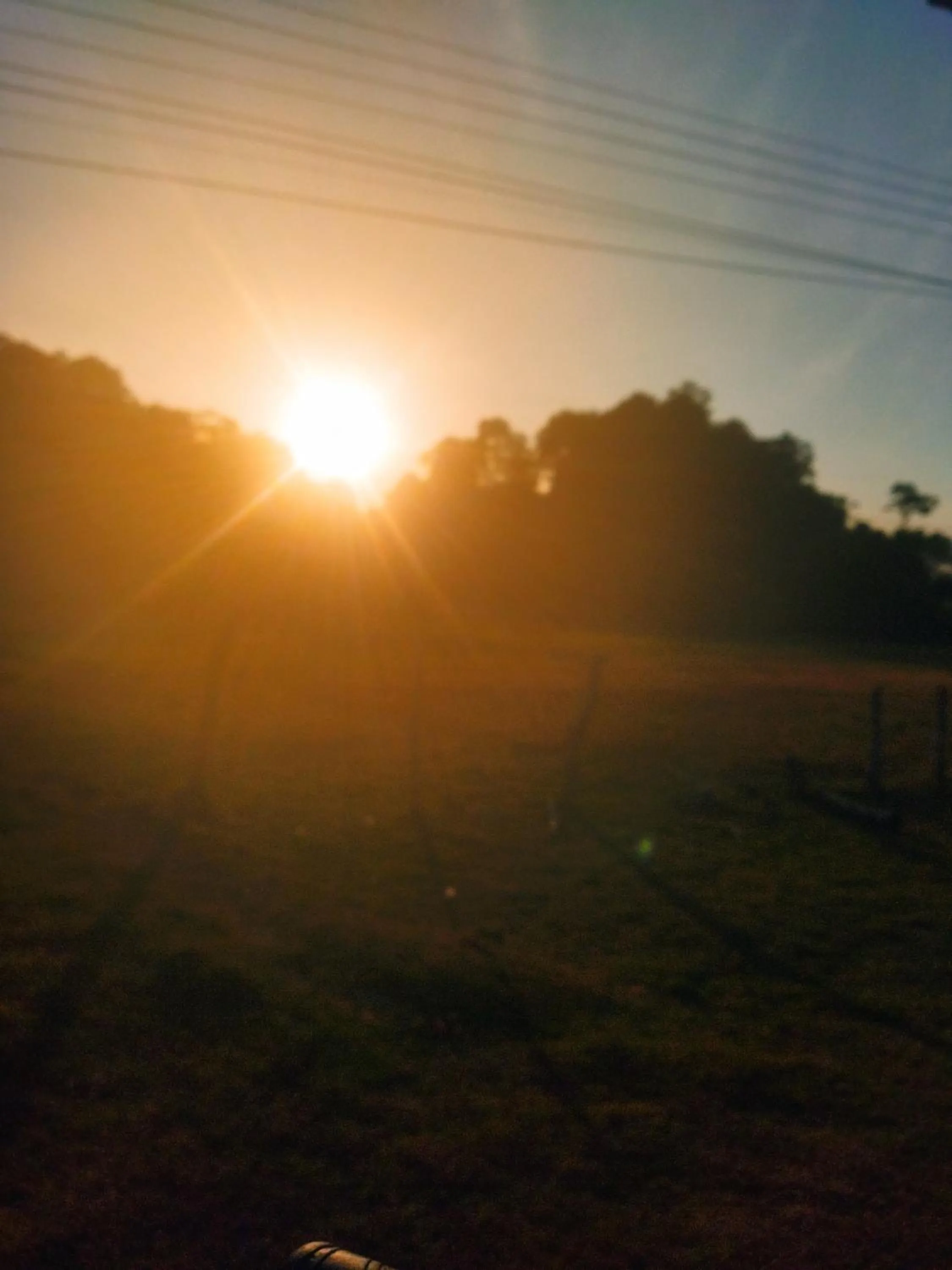 Natural landscape in Andaman Peace Resort