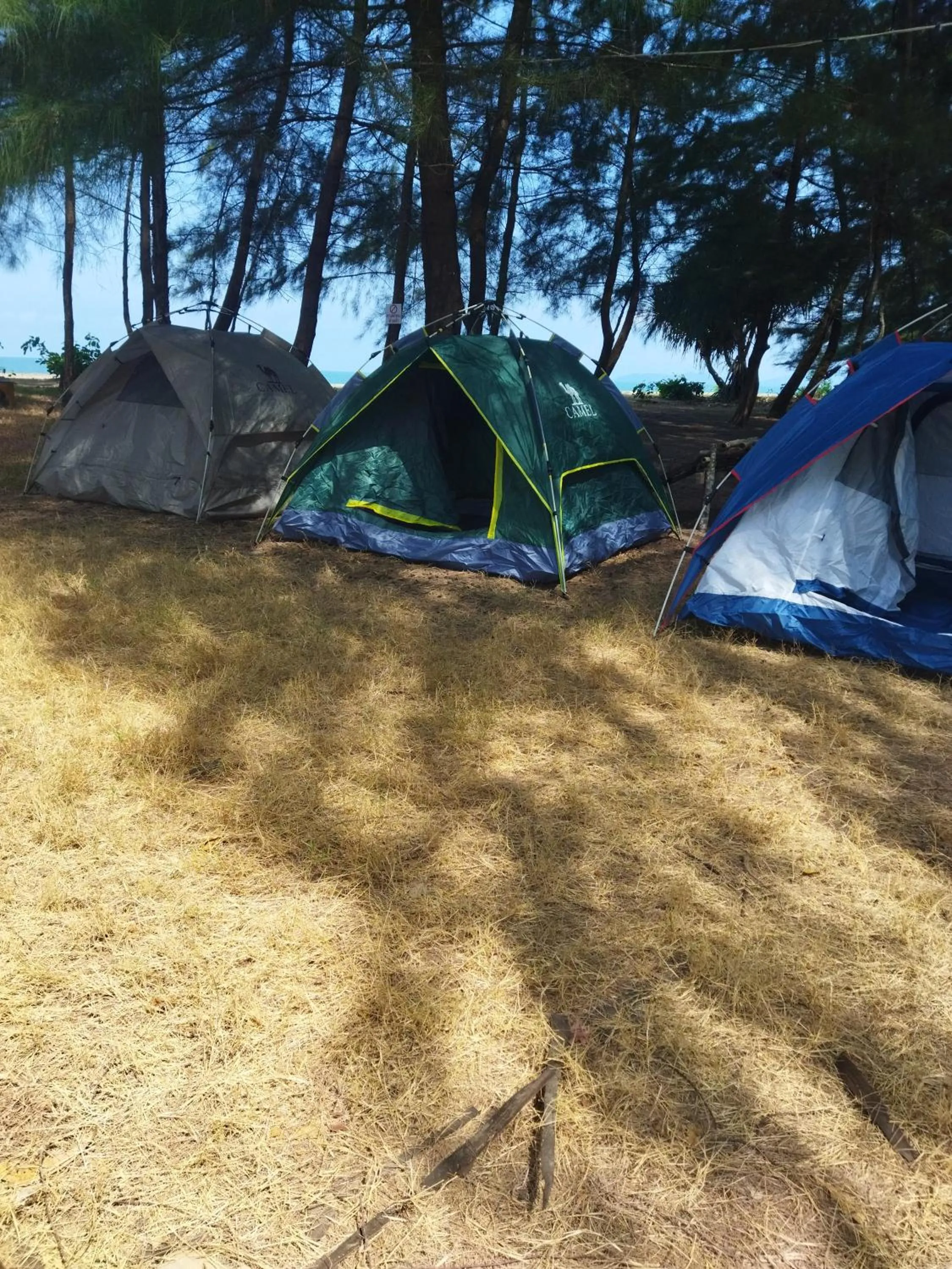 Natural landscape in Andaman Peace Resort