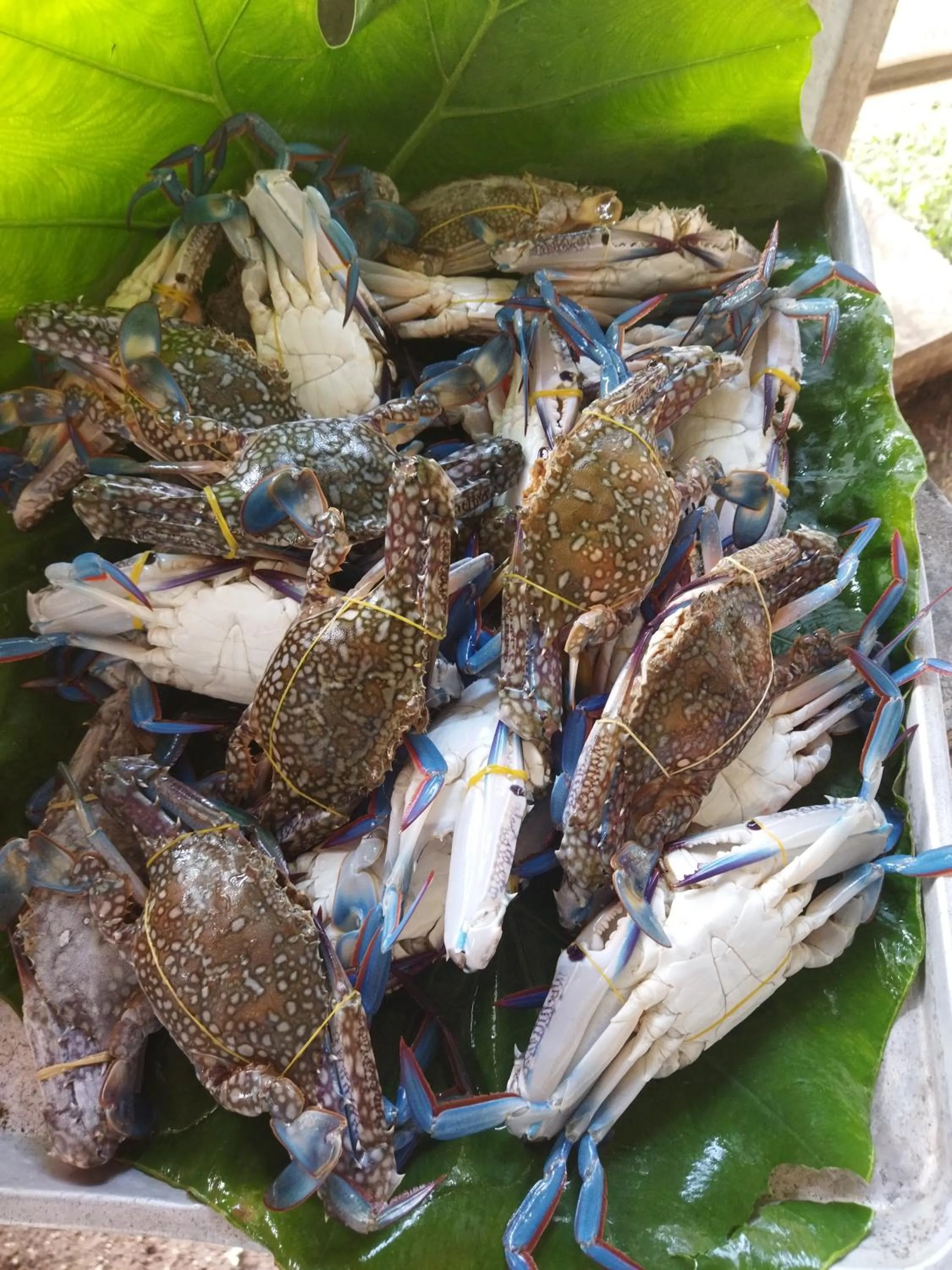 Andaman Peace Resort