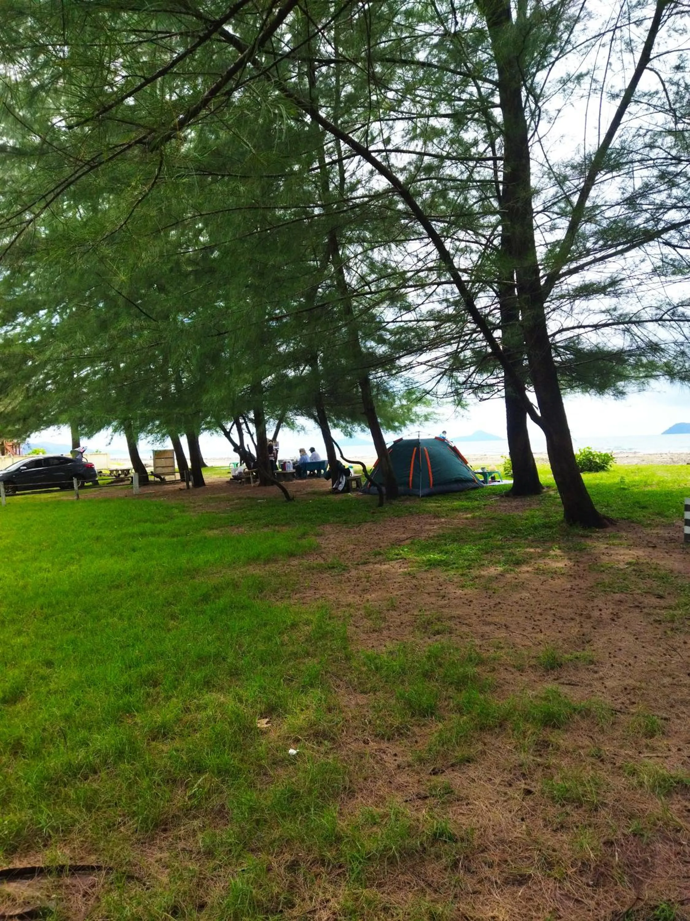Garden in Andaman Peace Resort